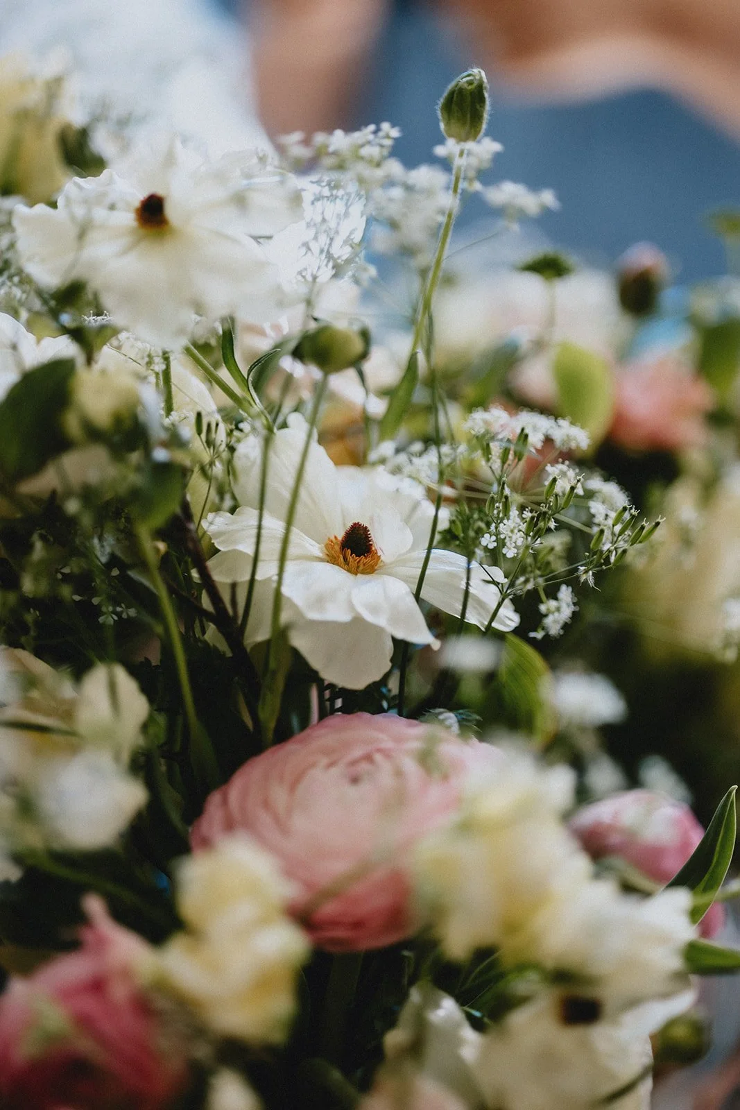 CLAIREMCGOWANPHOTOGRAPHY-3.jpg