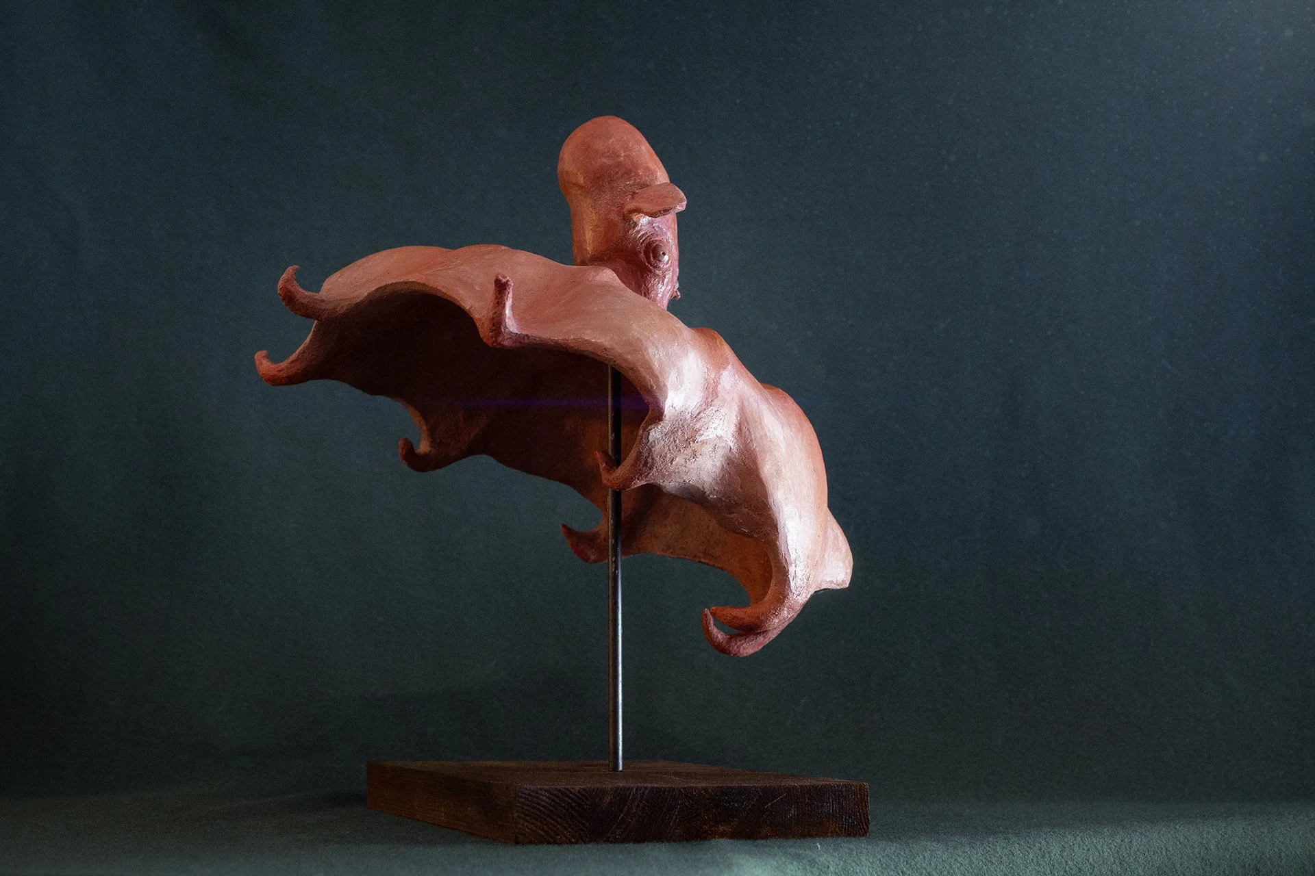 Sculpture terre. Au fond des abysses, un poulpe à oreilles nage. Clay sculpture. Deep in the abyss, a dumbo octopus swims.