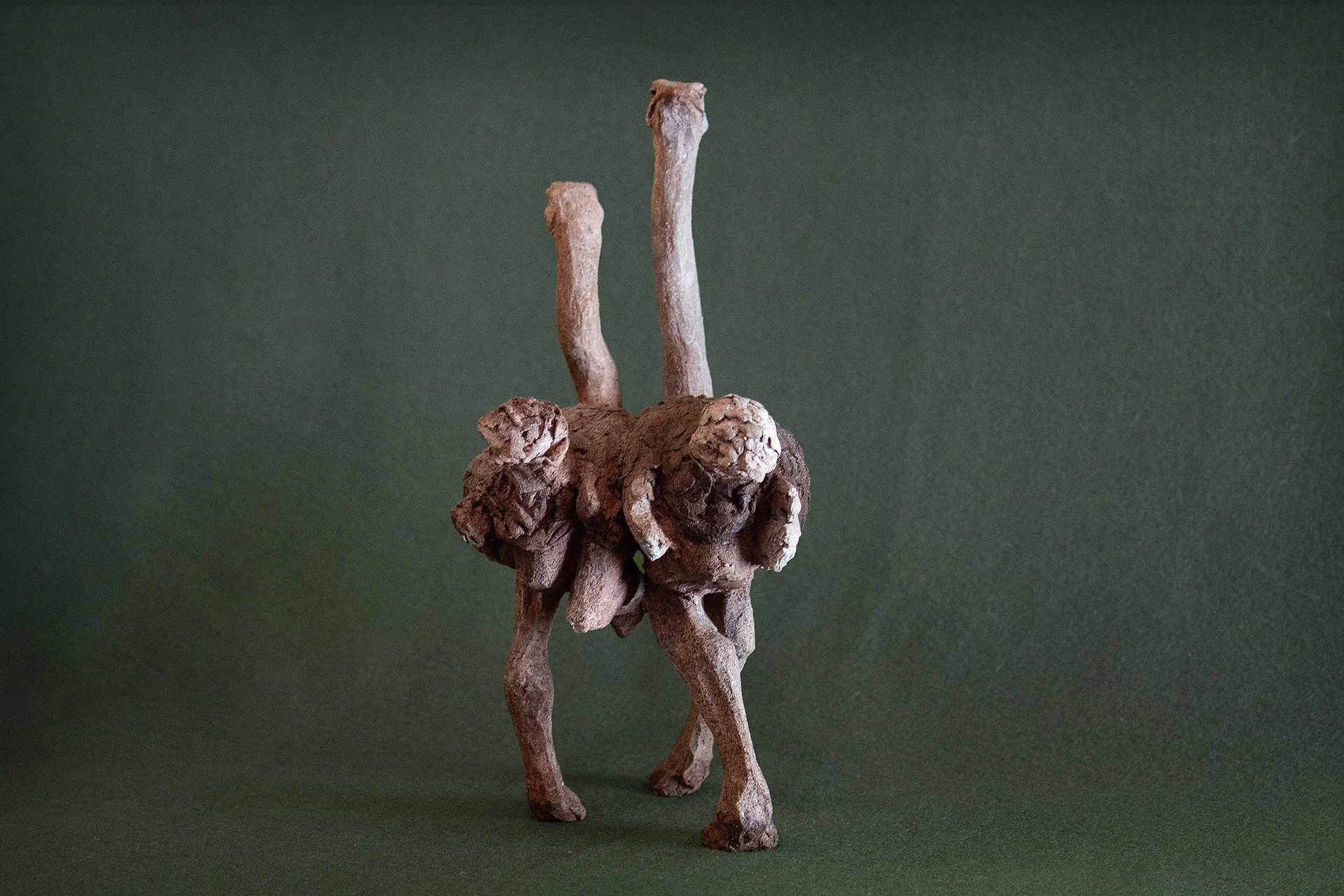 Sculpture terre. Un couple d’autruches marche. Le mâle surveille … Clay sculpture. A pair of ostriches walking. The male stands guard …