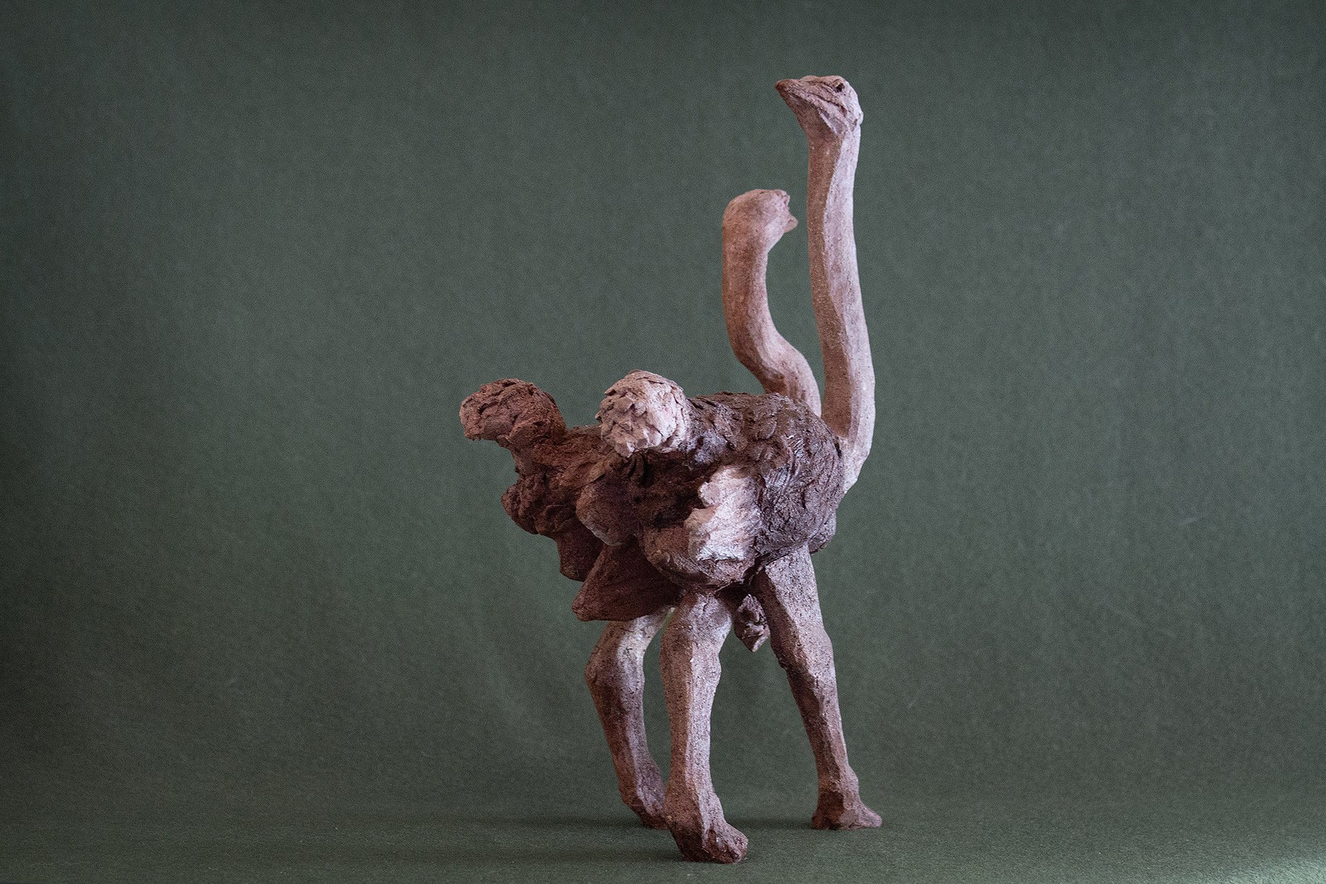 Sculpture terre. Un couple d’autruches marche. Le mâle surveille … Clay sculpture. A pair of ostriches walking. The male stands guard …
