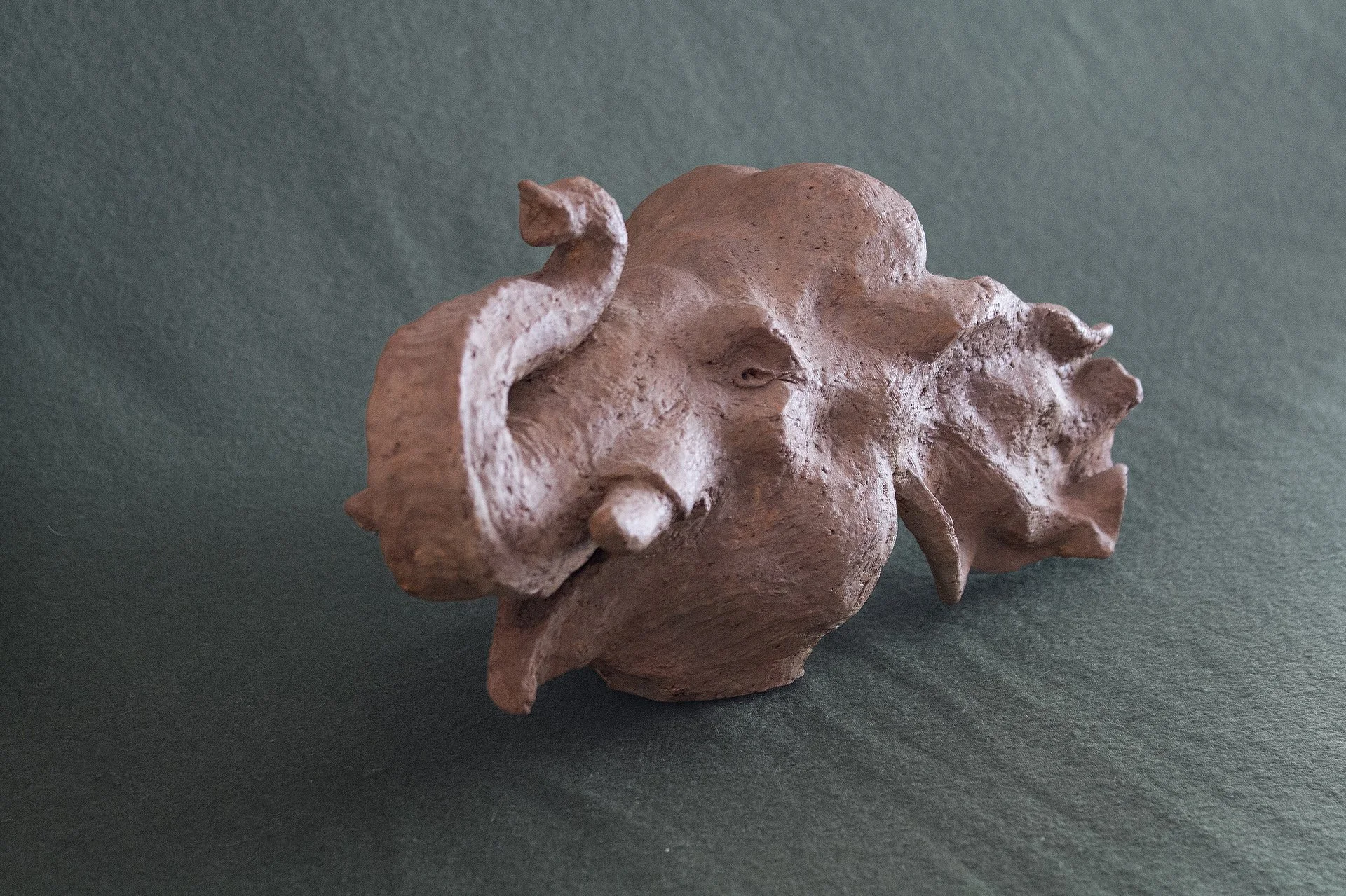 Sculpture terre. Une tête d’éléphant avec les oreilles dans le vent. Clay sculpture. An elephant's head with its ears fluttering in the wind.