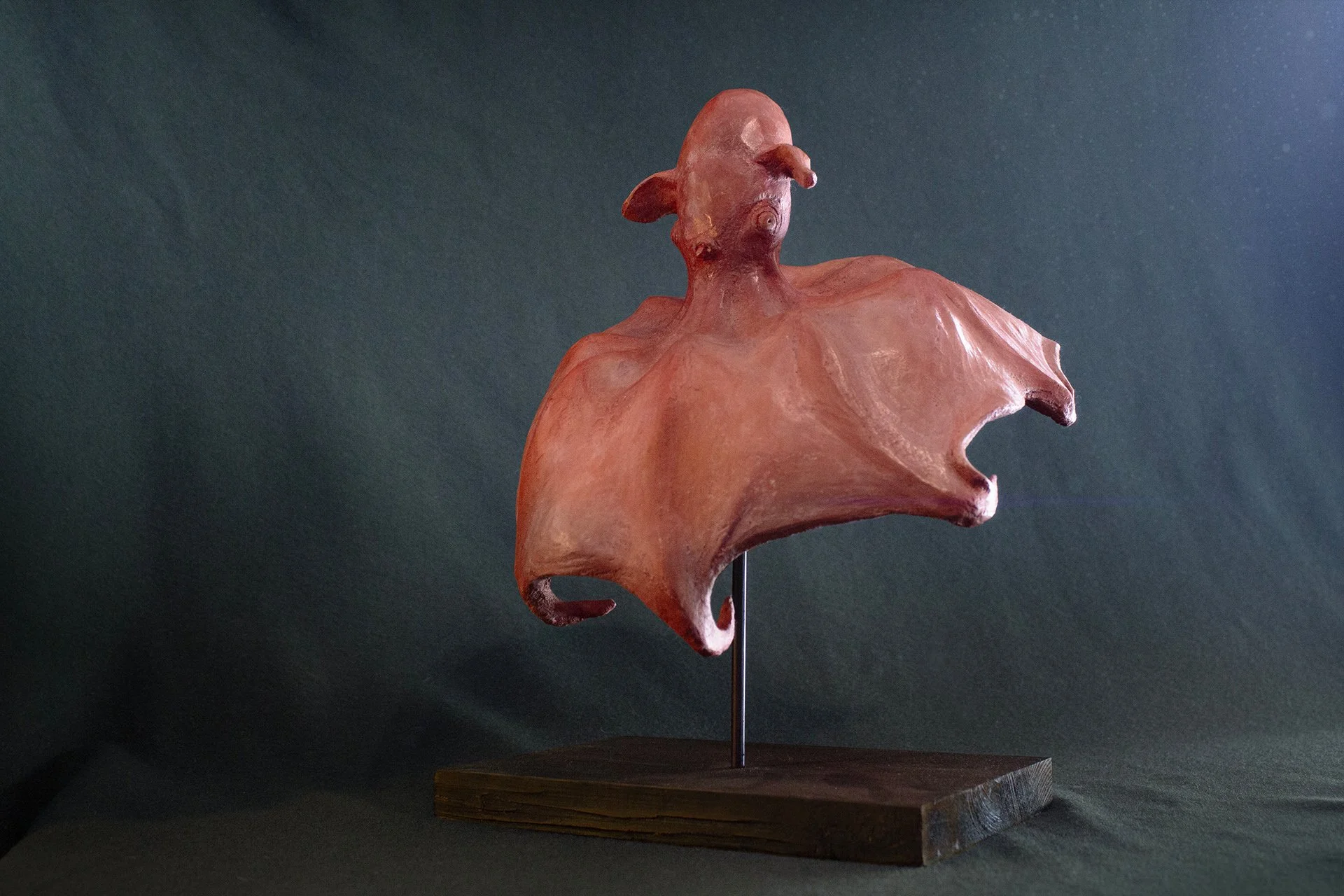 Sculpture terre. Au fond des abysses, un poulpe à oreilles nage. Clay sculpture. Deep in the abyss, a dumbo octopus swims.