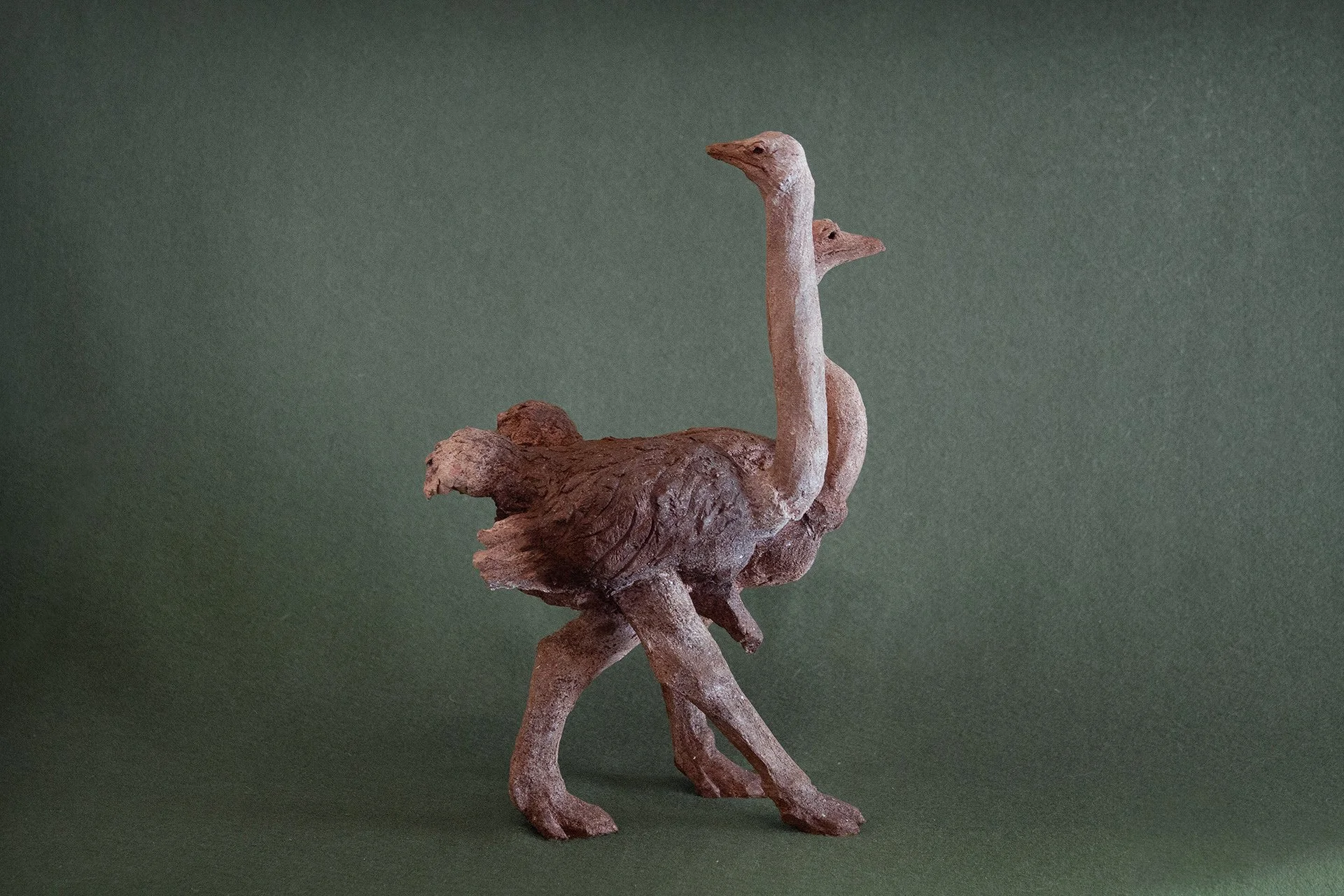 Sculpture terre. Un couple d’autruches marche. Le mâle surveille … Clay sculpture. A pair of ostriches walking. The male stands guard …