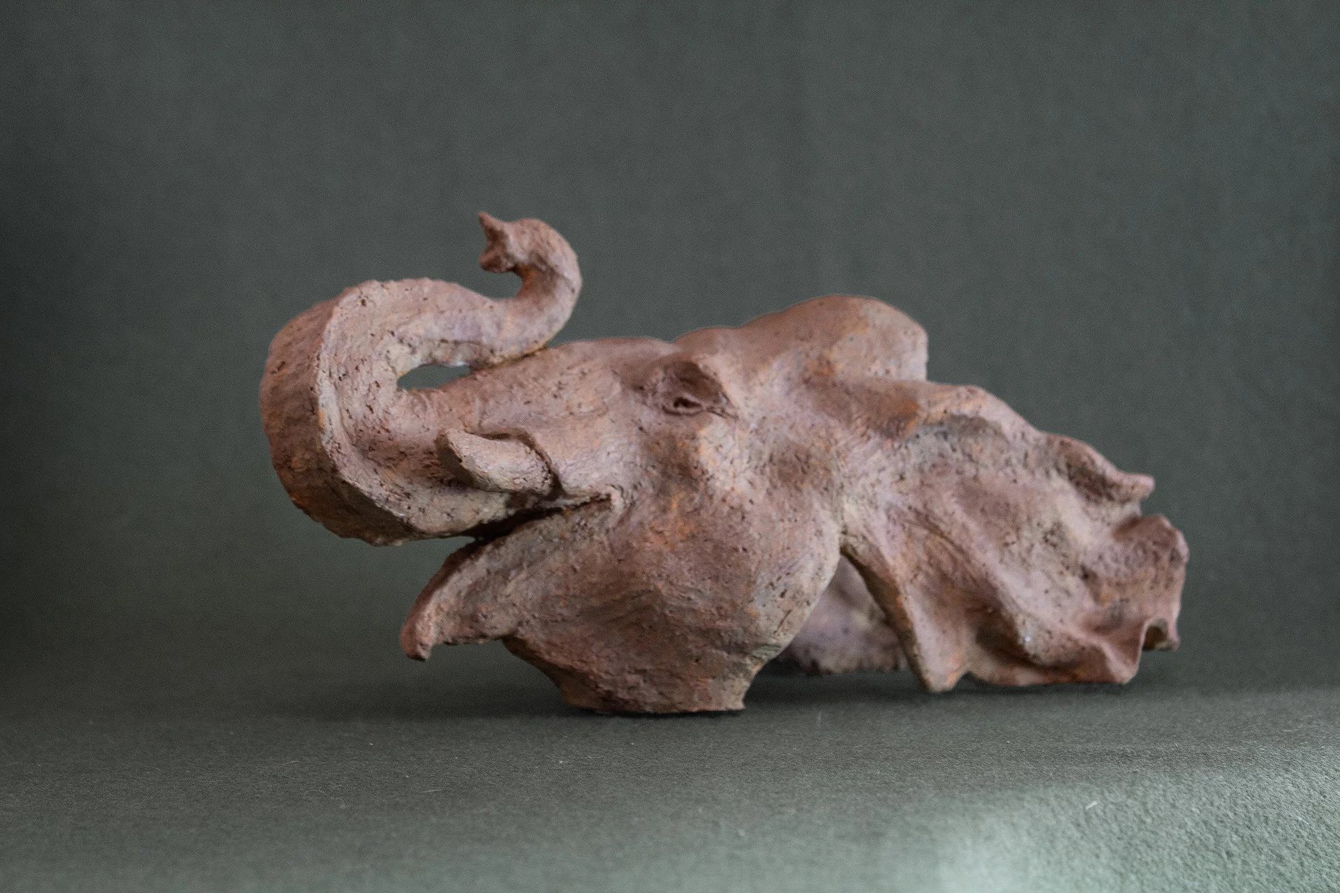 Sculpture terre. Une tête d’éléphant avec les oreilles dans le vent. Clay sculpture. An elephant's head with its ears fluttering in the wind.