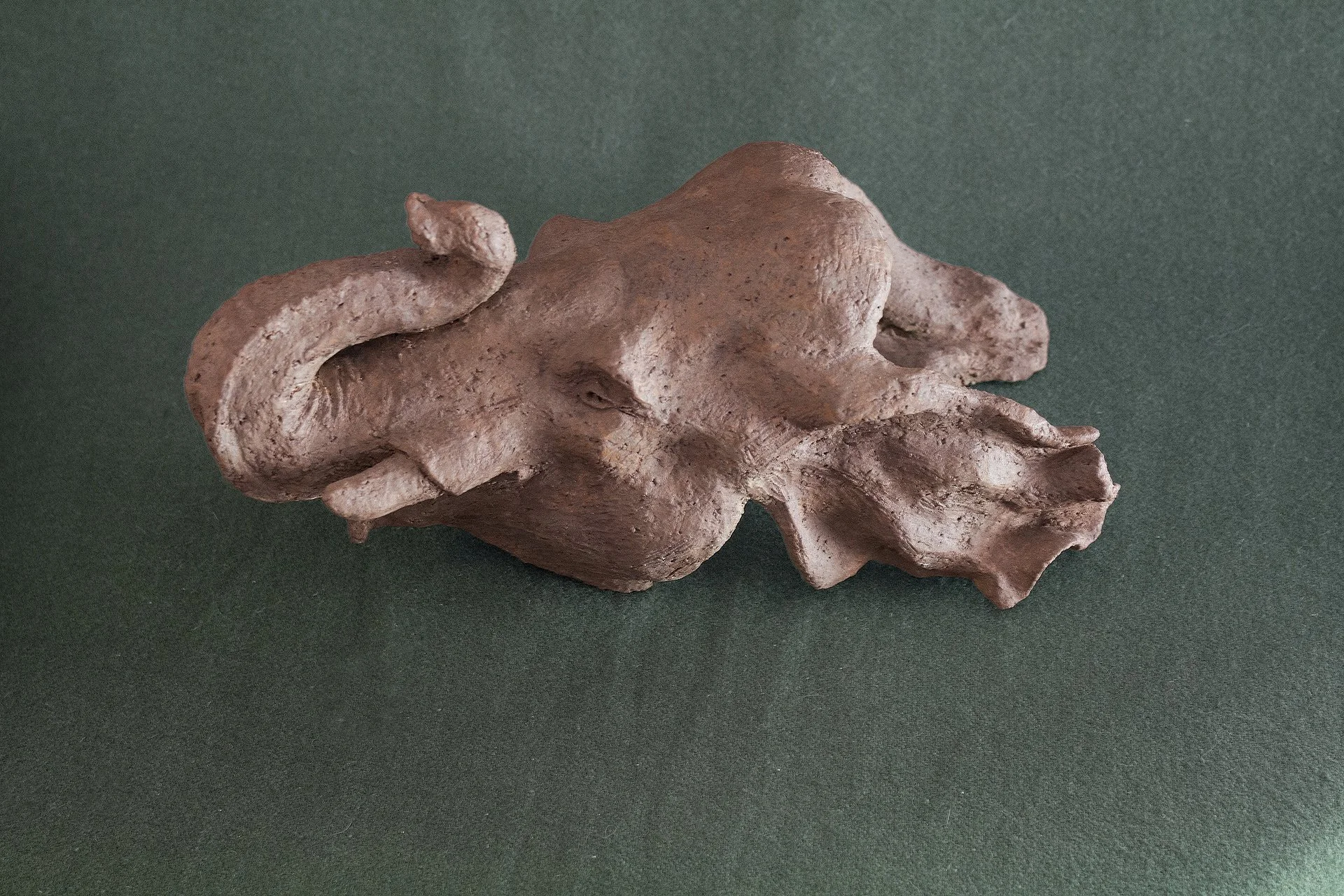 Sculpture terre. Une tête d’éléphant avec les oreilles dans le vent. Clay sculpture. An elephant's head with its ears fluttering in the wind.