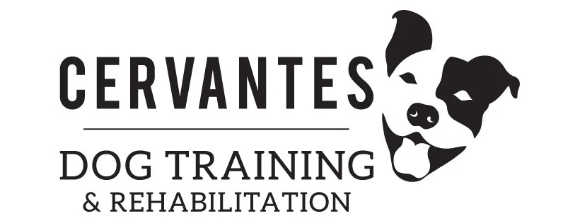 Cervantes Dog Training &amp; Rehabilitation