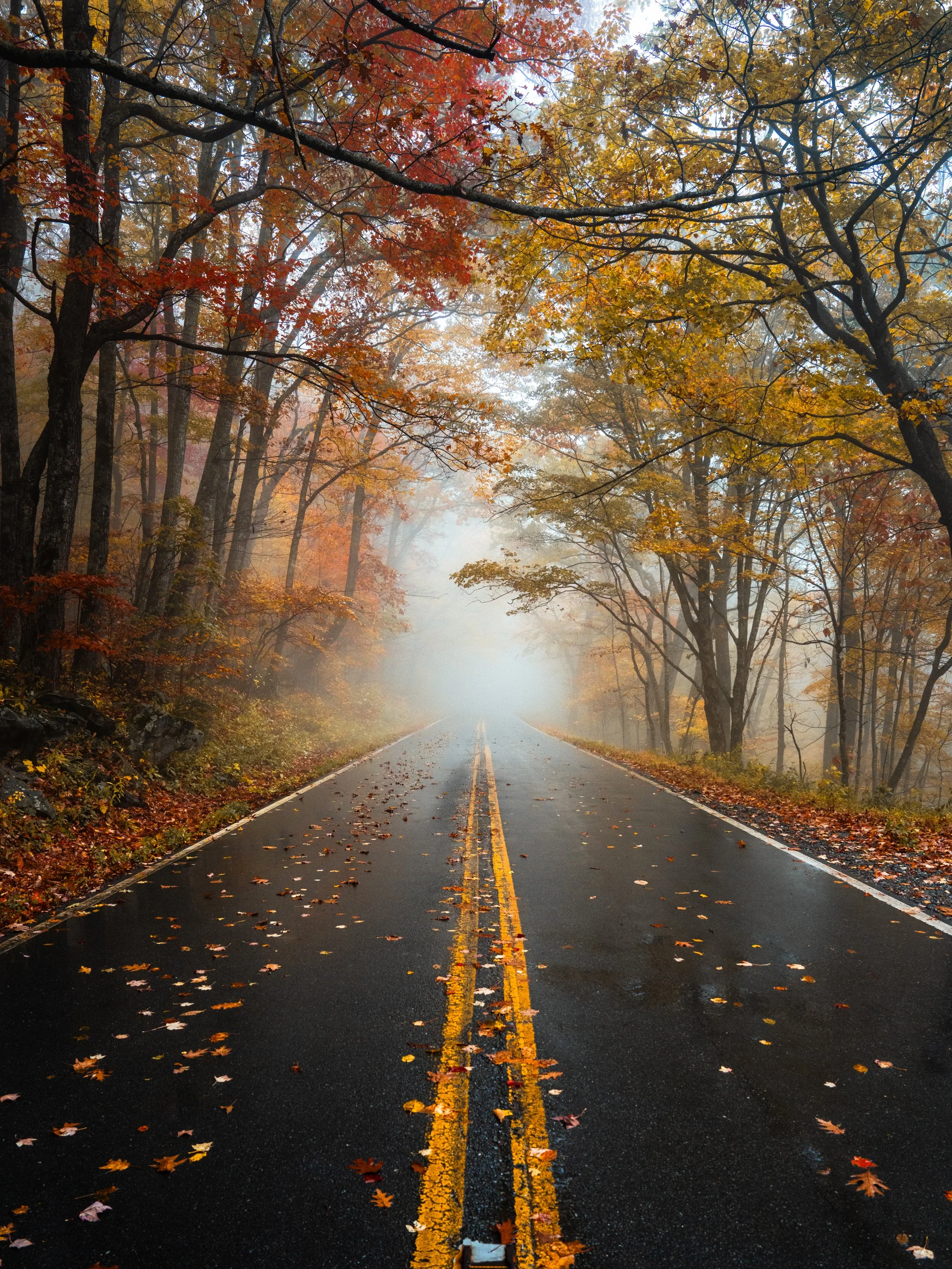 DSC06813.jpg