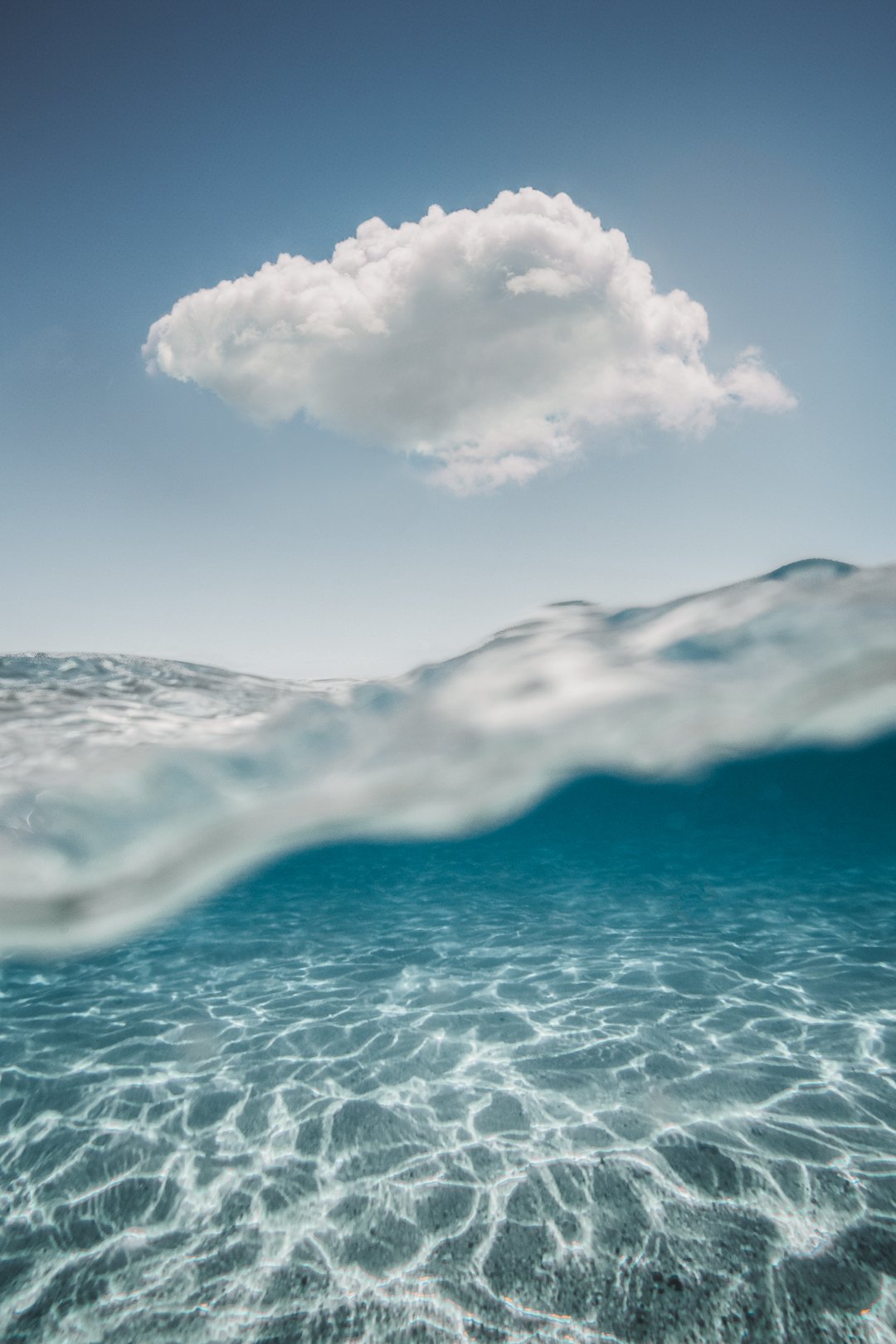 Ocean collection