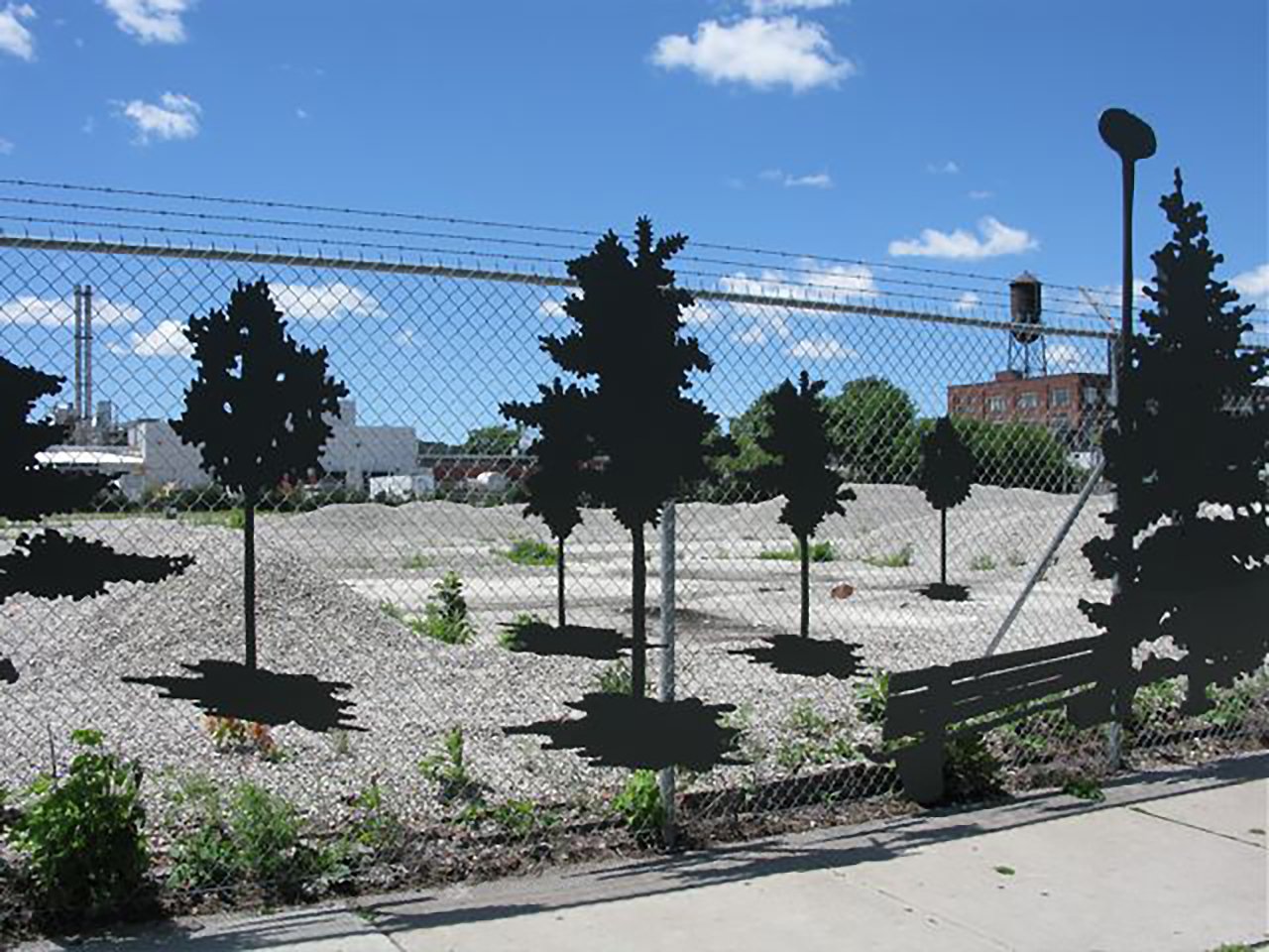 5 TREES.jpg