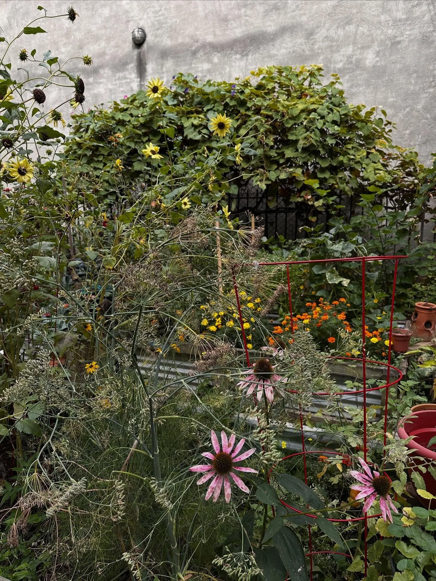 the garden on the equinox