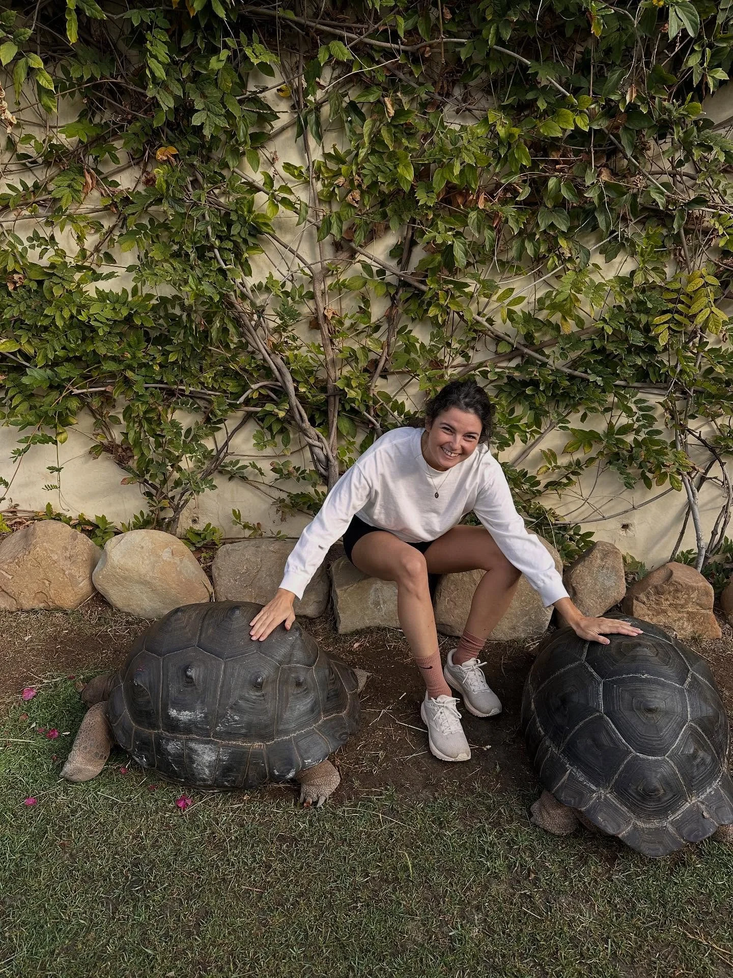 bougainvillea breakfast with tortises, santa monica farmers market fruits, beatrice wood, sunset at meditation mount, then running up a hill after sunrise the next morning. field guides as bibles in the hotel in ojai, the medicinal herb garden at the