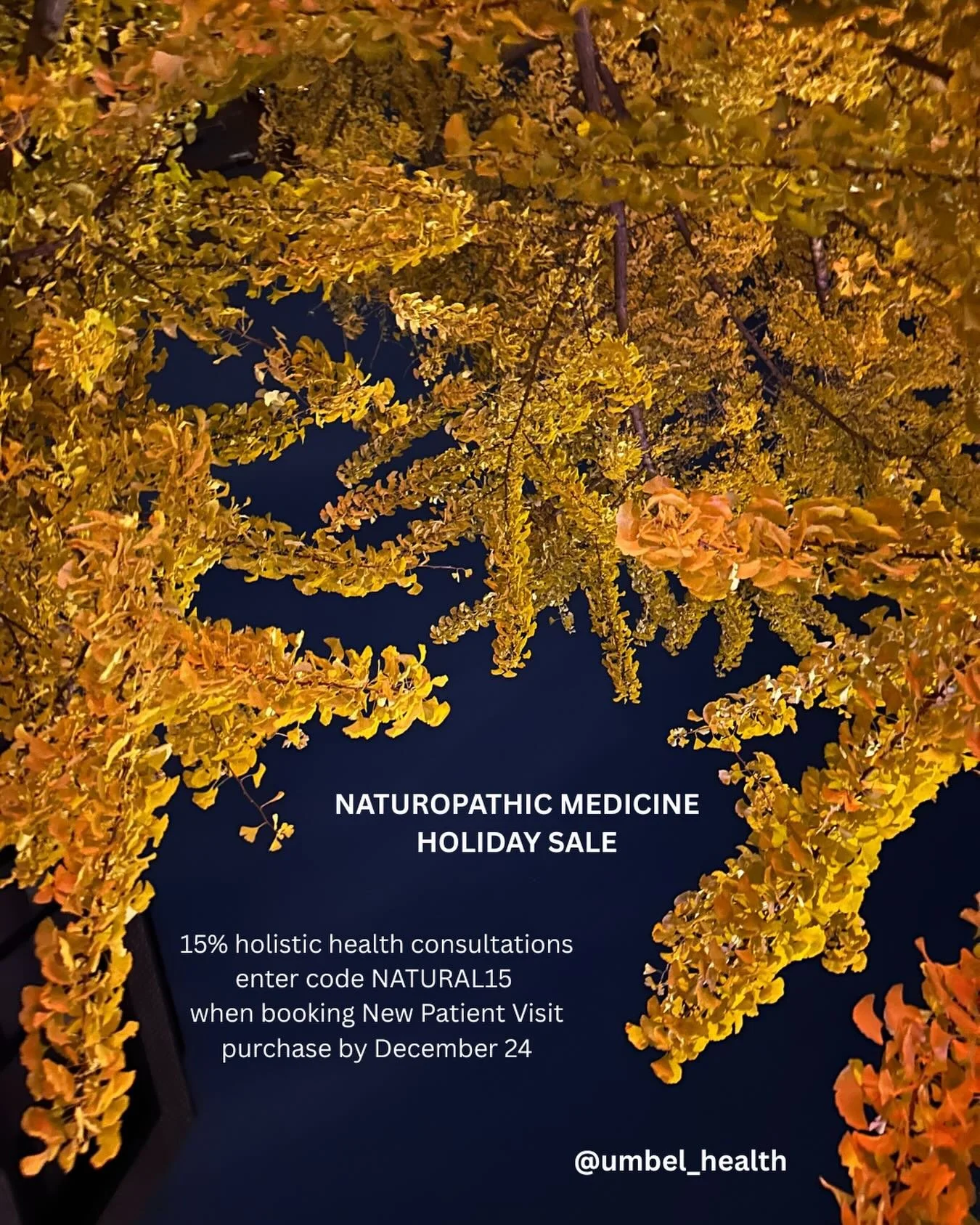 Happy Holidays!

Use code NATURAL15 when scheduling a new patient visit for 15%. Use code GIFT15 when purchasing a gift card (now available!) for 15% &mdash; gifting a 90 minute naturopathic session for a loved one is a really beautiful act of care.
