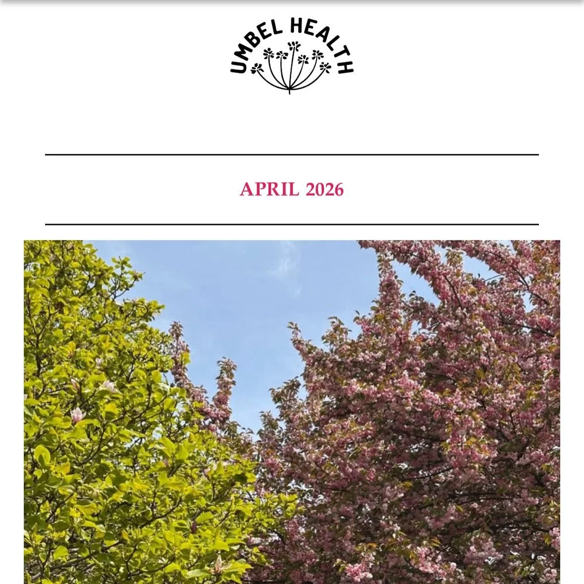 from my April letter. thinking about food from the woods, outer space, wholesome highs.

taking some time off in May, few spots left on the sched before then 🍃