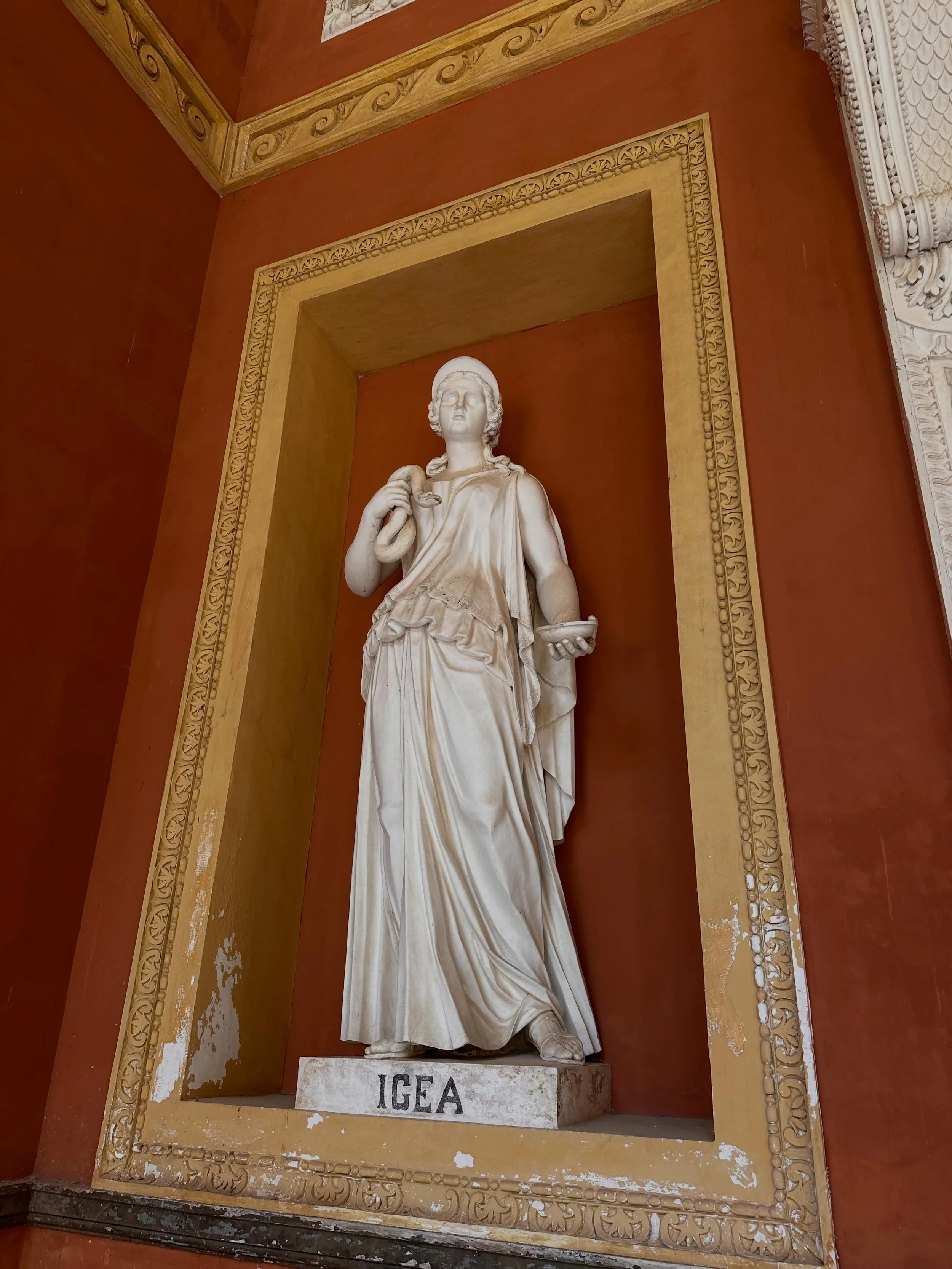 plant archives and medicine gods at the &ldquo;gymnasium&rdquo; in the Orto Botanico in Palermo

Igea (Hygeia) is the greek goddess of health and daughter of Aesclepius , god of medicine. Unlike her father, who was associated with curing illness, Ige