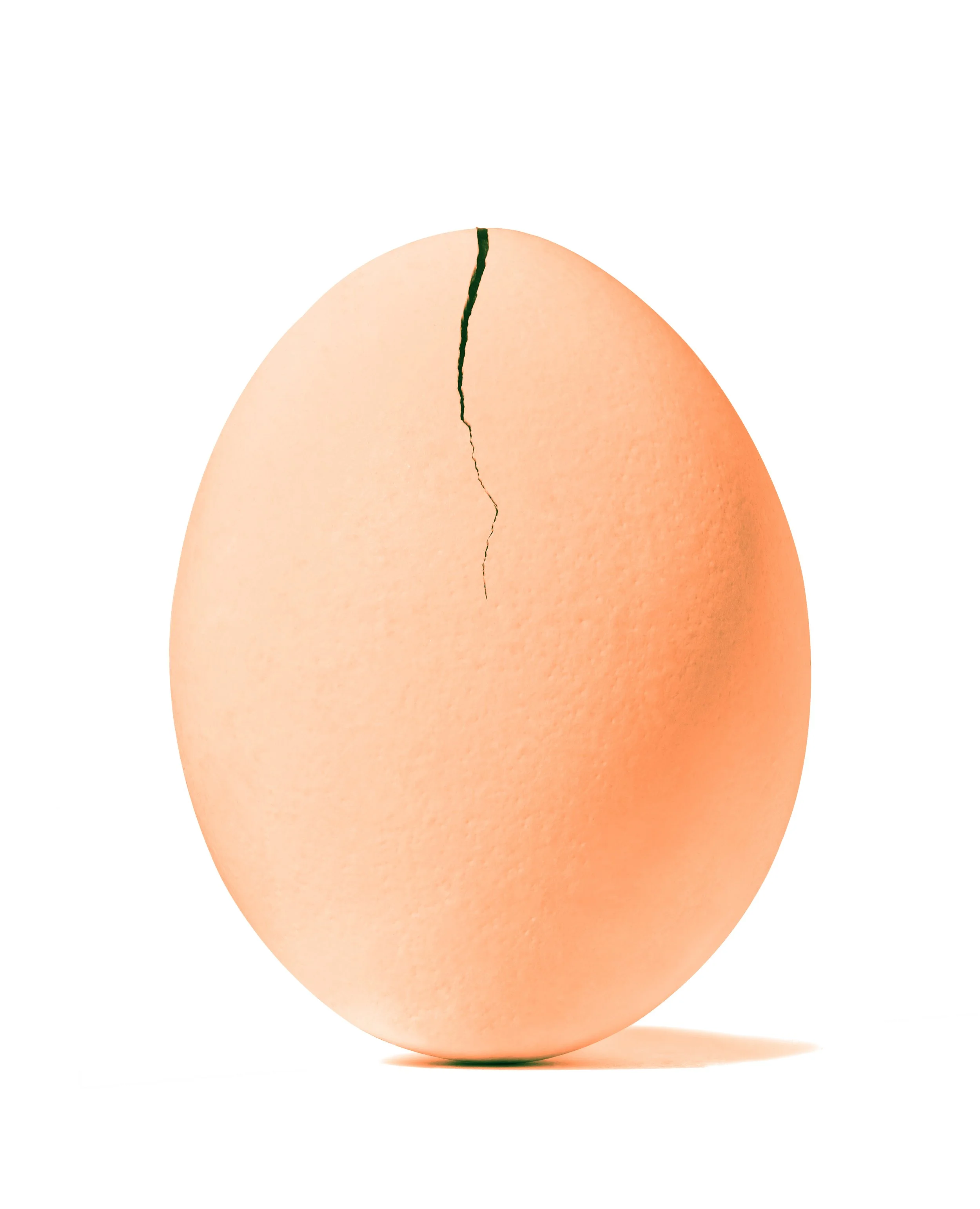 Eggcrack tan 1.jpg