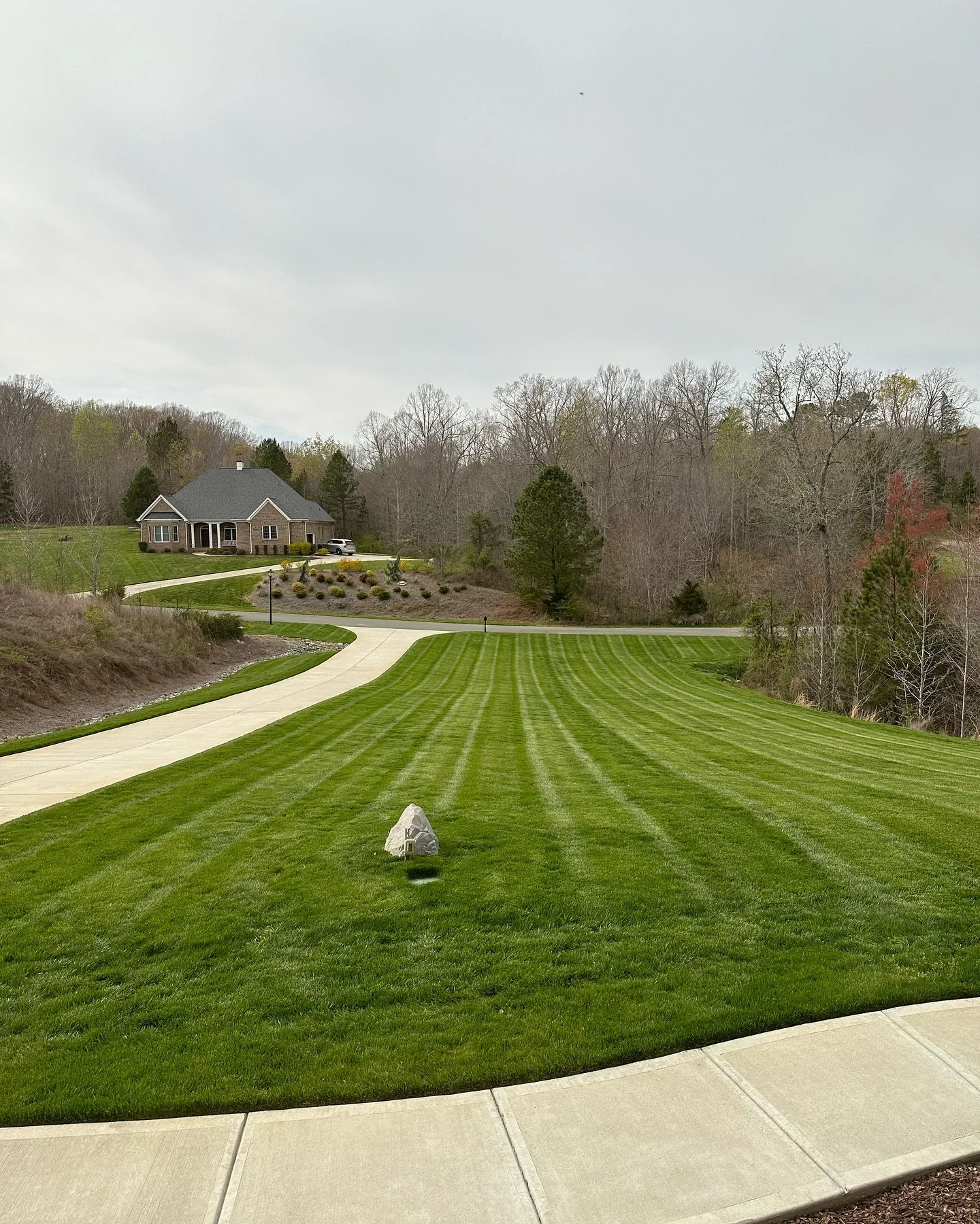 Are you tired of weeds taking over your lawn? Do you wish to have a thick green lawn? We are here to help! Give us a call ☎️ (704) 221-7101 or send us a DM!