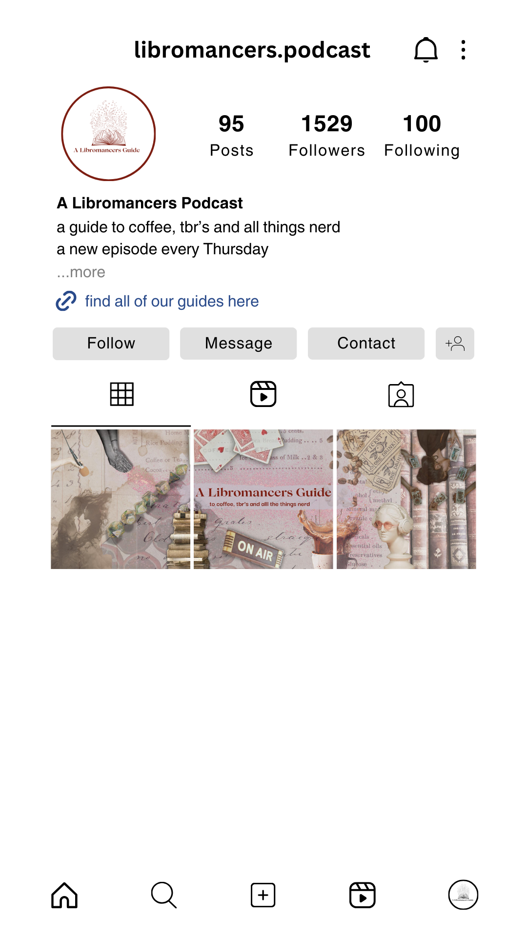 Lib. Guide Instagram Example.png