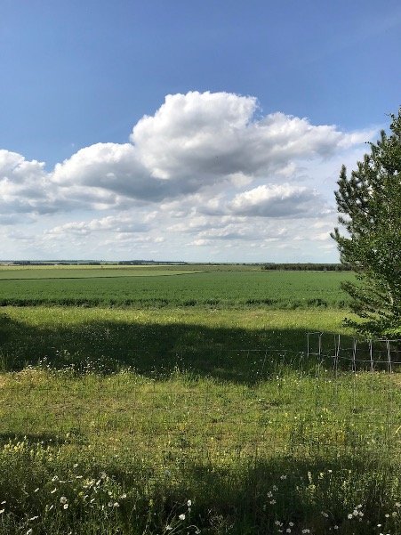 Countryside around Châlons