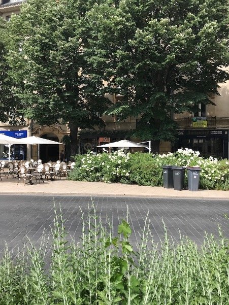 Lunch in Metz