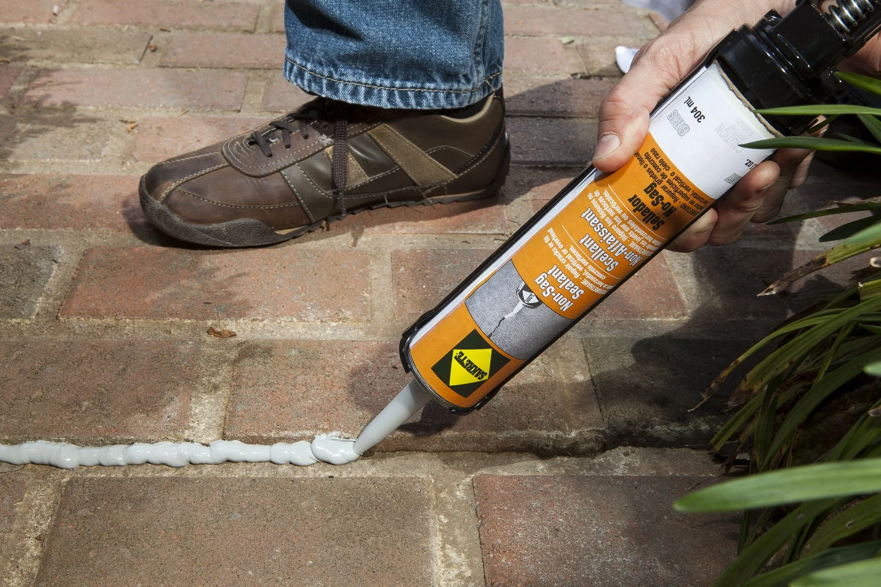 Bonsal American_.jpg