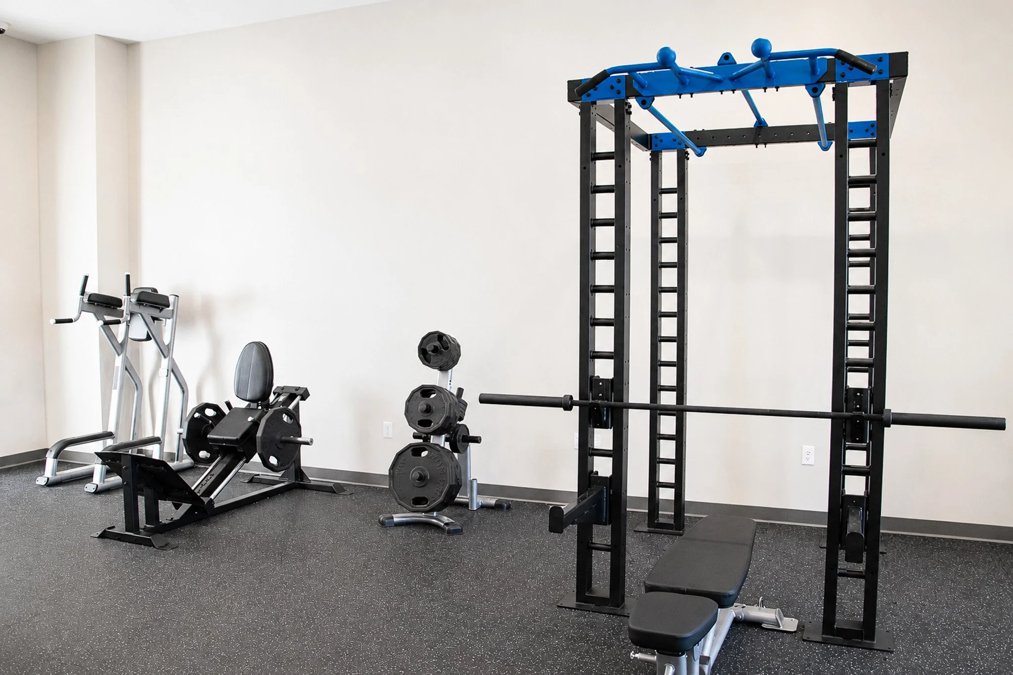 Clubhouse fitness center with squat rack.