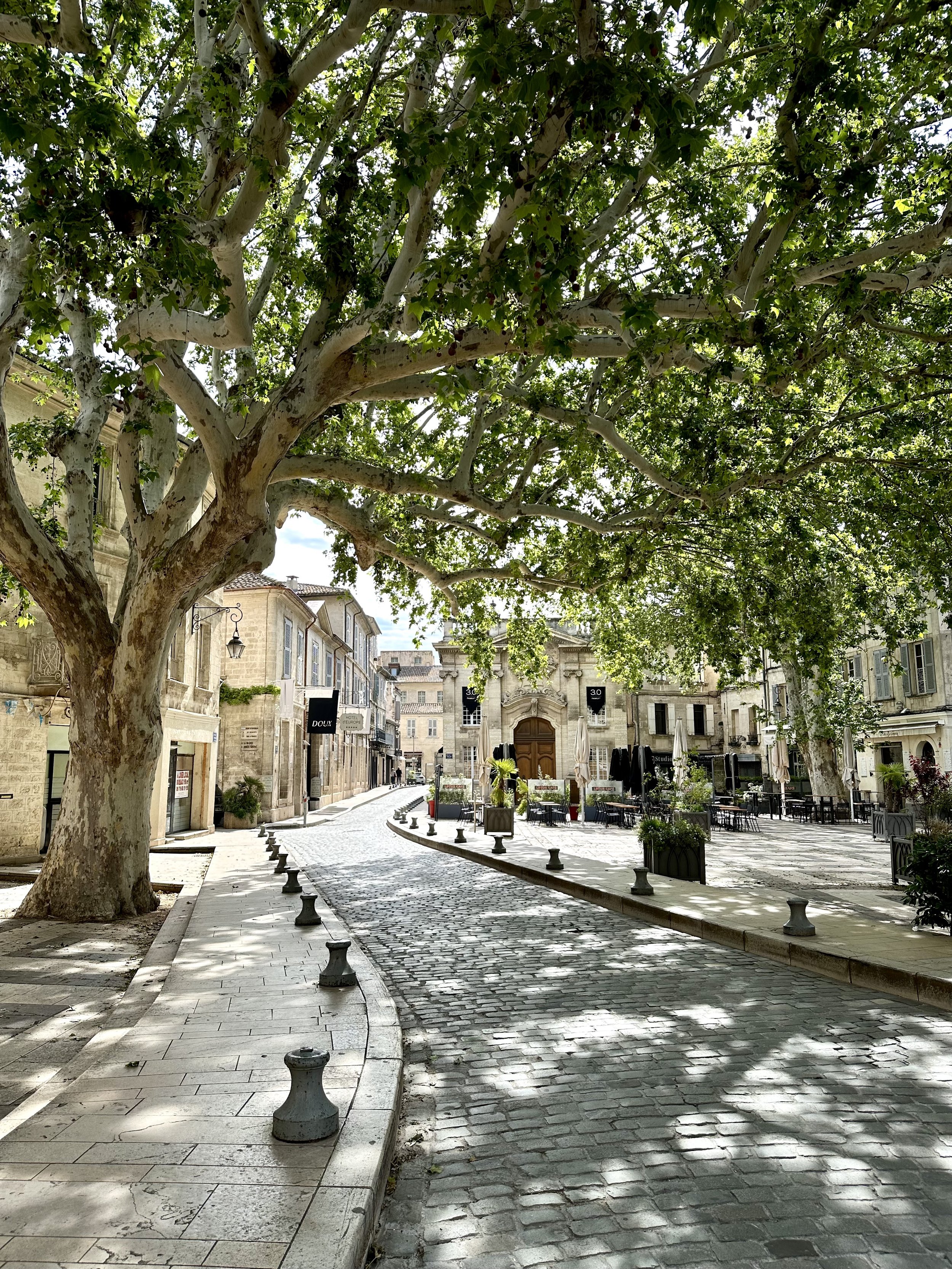 A quiet cobblestone street lined with large trees and outdoor cafes in a historic town square.