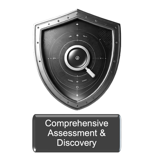 Comprehensive assessment and discovery — Jarato's original discovery-stage workflow graphic