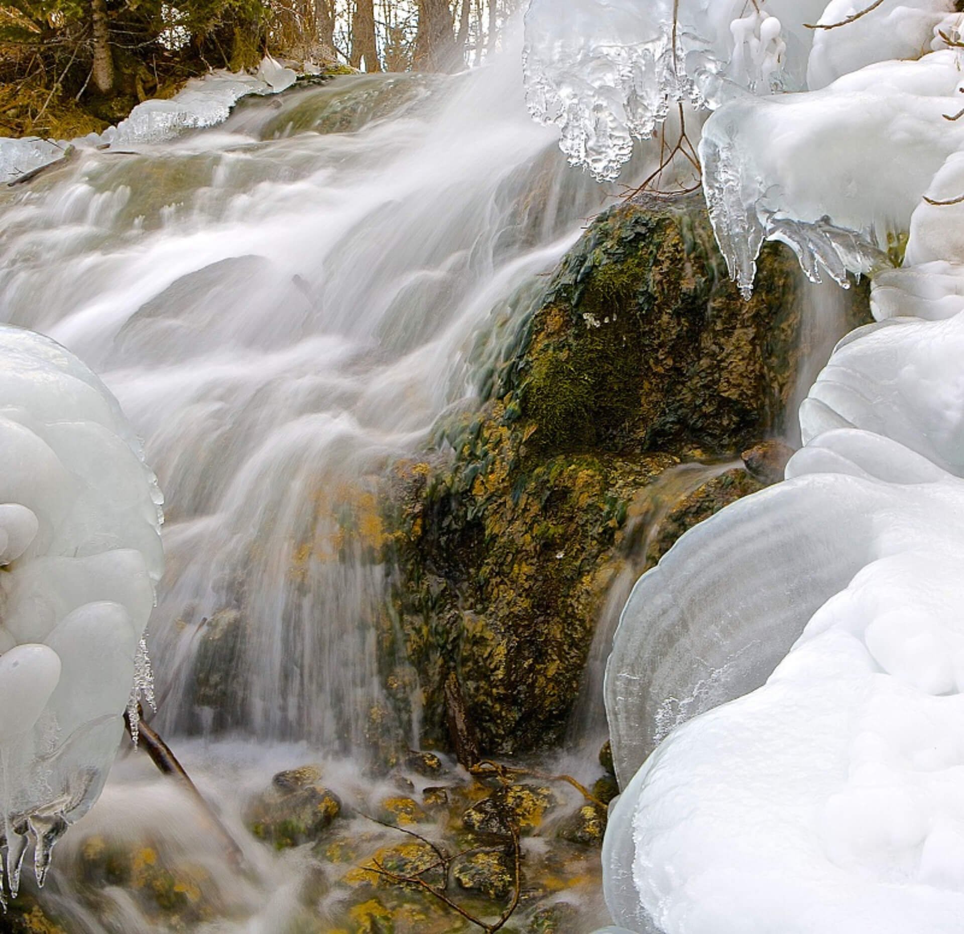 Cleansing and Renewal: Rituals for Welcoming the New Year