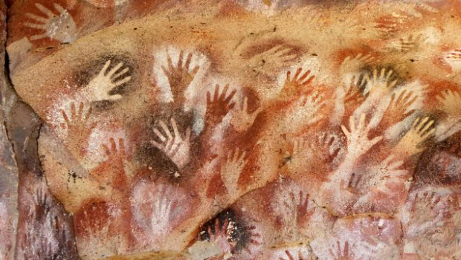 The Things We Carry: How Our Ancestors’ Traumas May Influence Who We Are