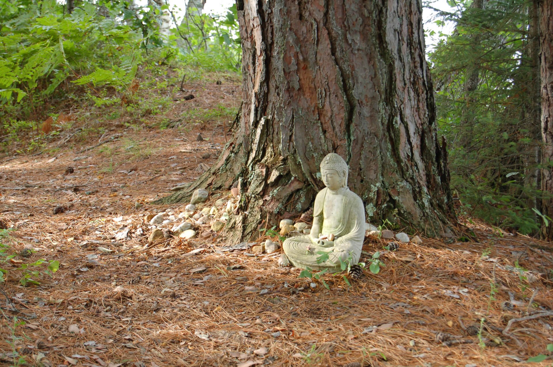 Earth, Sky, Star, Moon: Bringing Nature Inside Yourself