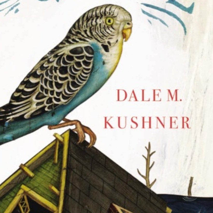 A Conversation with Dale M. Kushner, author of THE CONDITIONS OF LOVE