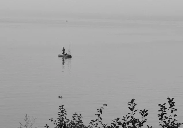 Grief, Loss, Abundance, Joy: Finding Refuge in Harsh Times