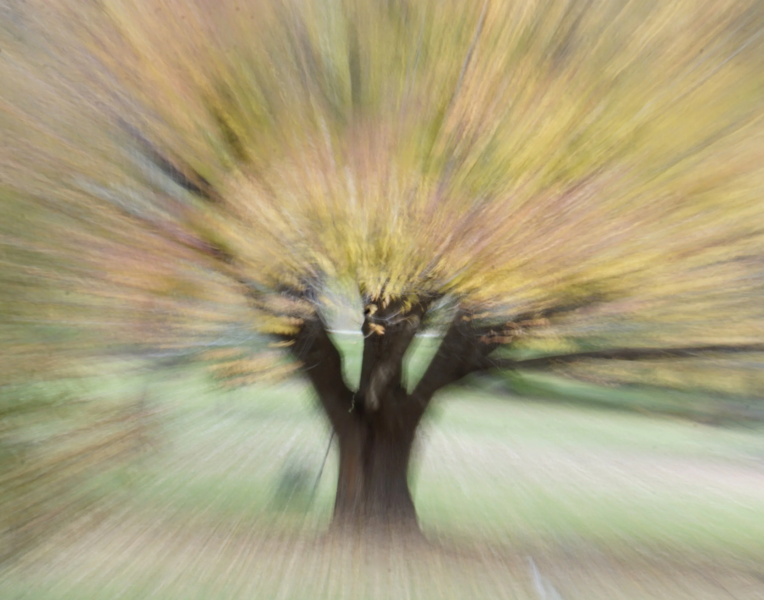 Fall Transitions: What Will You Harvest? What Will You Let Go?