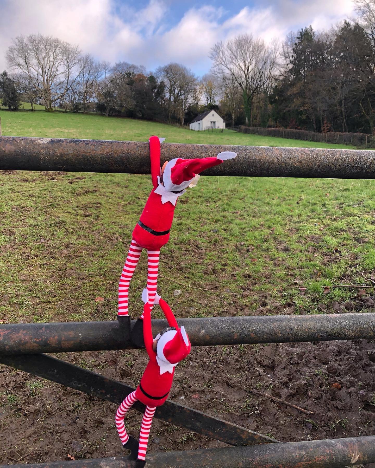 The elves have been on a stake out, waiting for the guests to leave. And oh dear, they&rsquo;ve got the keys to Sardis Cottage! Let the month of Elf shenanigans begin&hellip; #elfontheshelf #elvesbehavingbadly