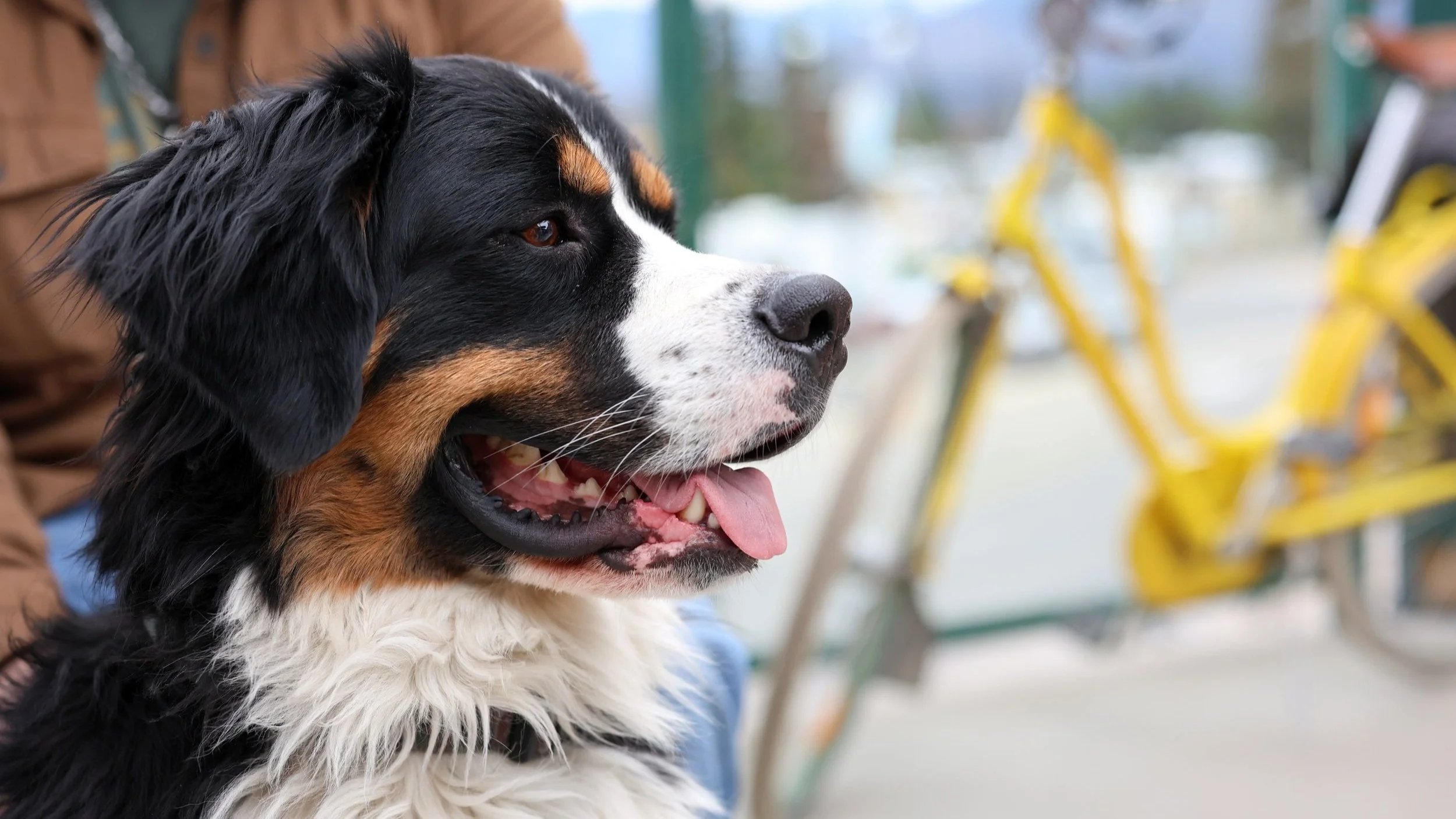Fiddle+River+Jasper+-+Patio-9228.jpg