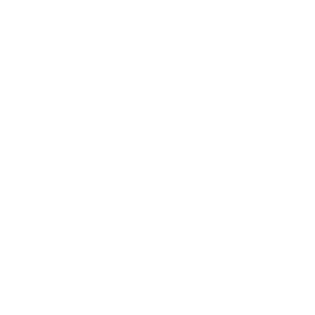 Main Logo White Transparent.png