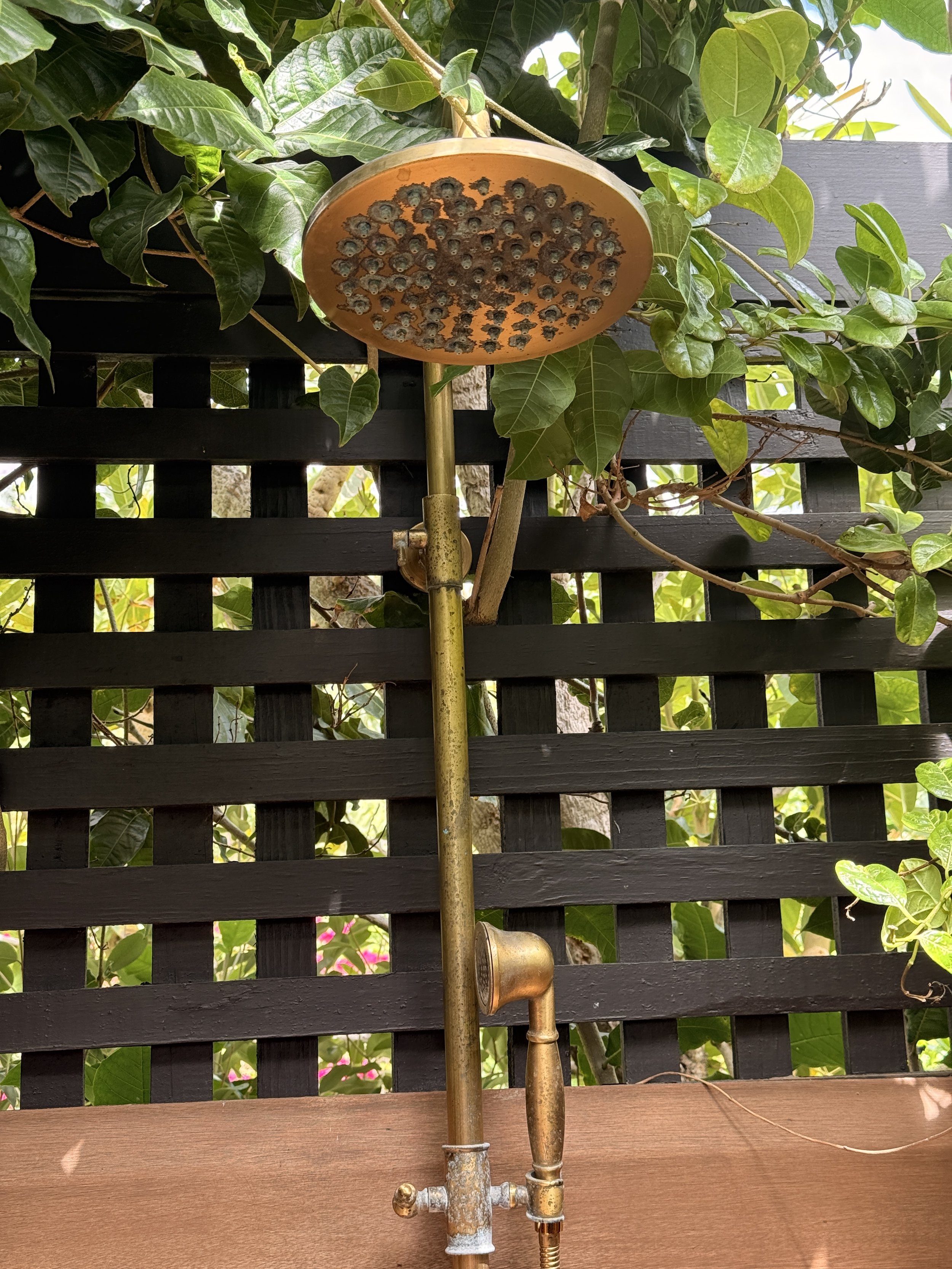 Outdoor showers