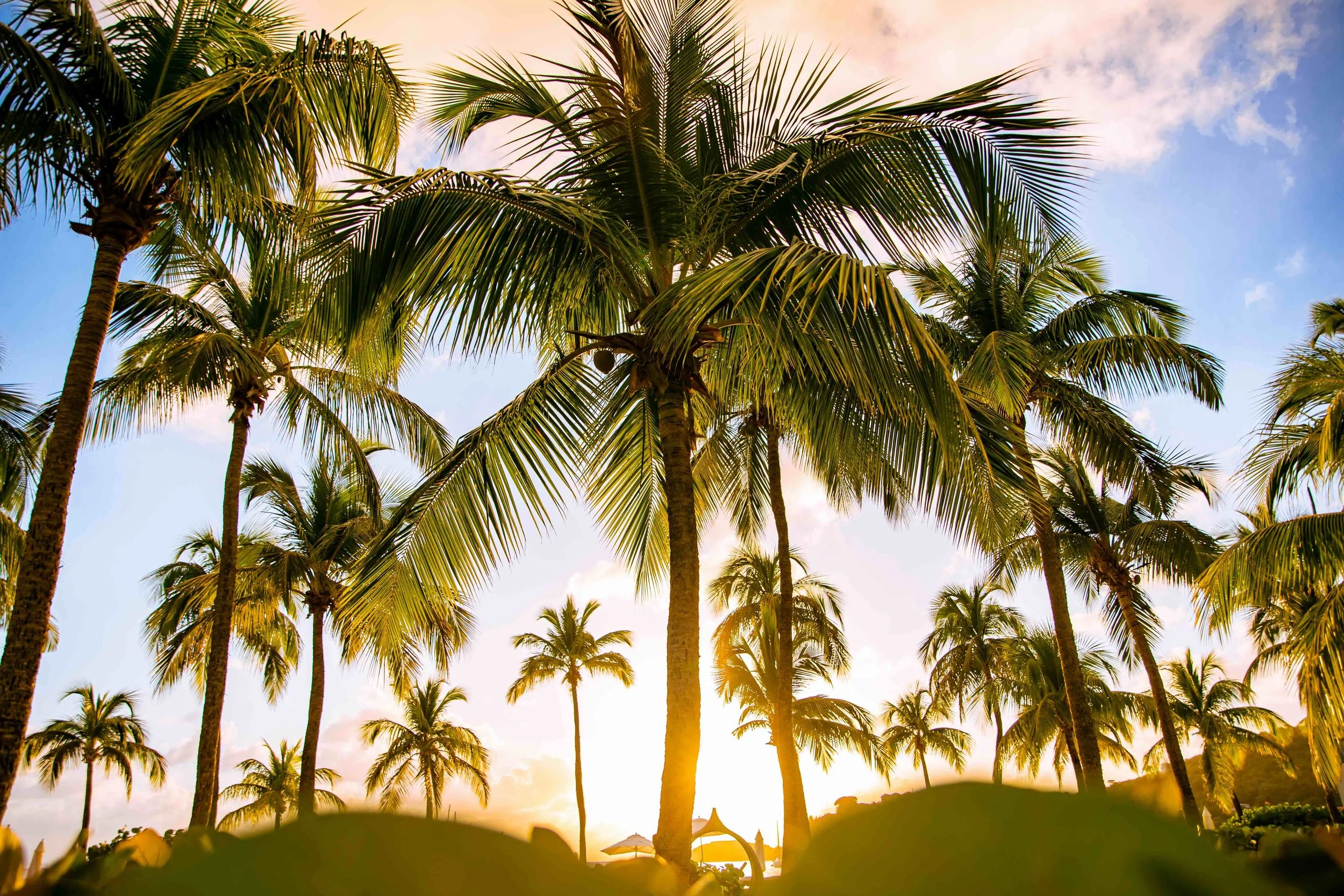 A luxury travel advisor's guide to Antigua: hotels, beaches and unforgettable experiences