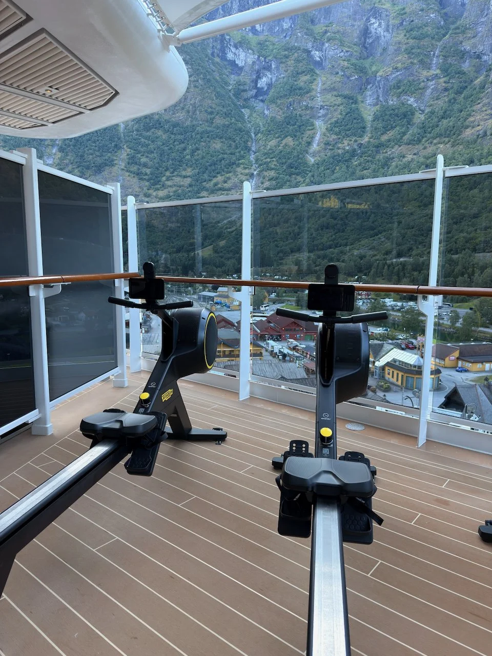  Outdoor rowing machines complement the indoor gym (that I avoided all week) 