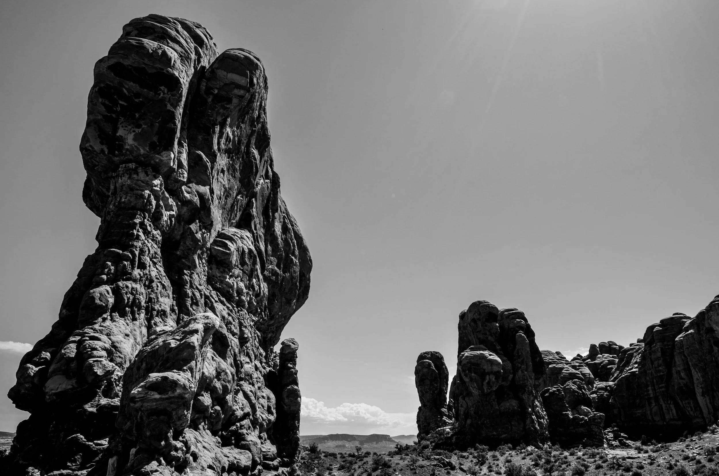 _DSC0592.jpg