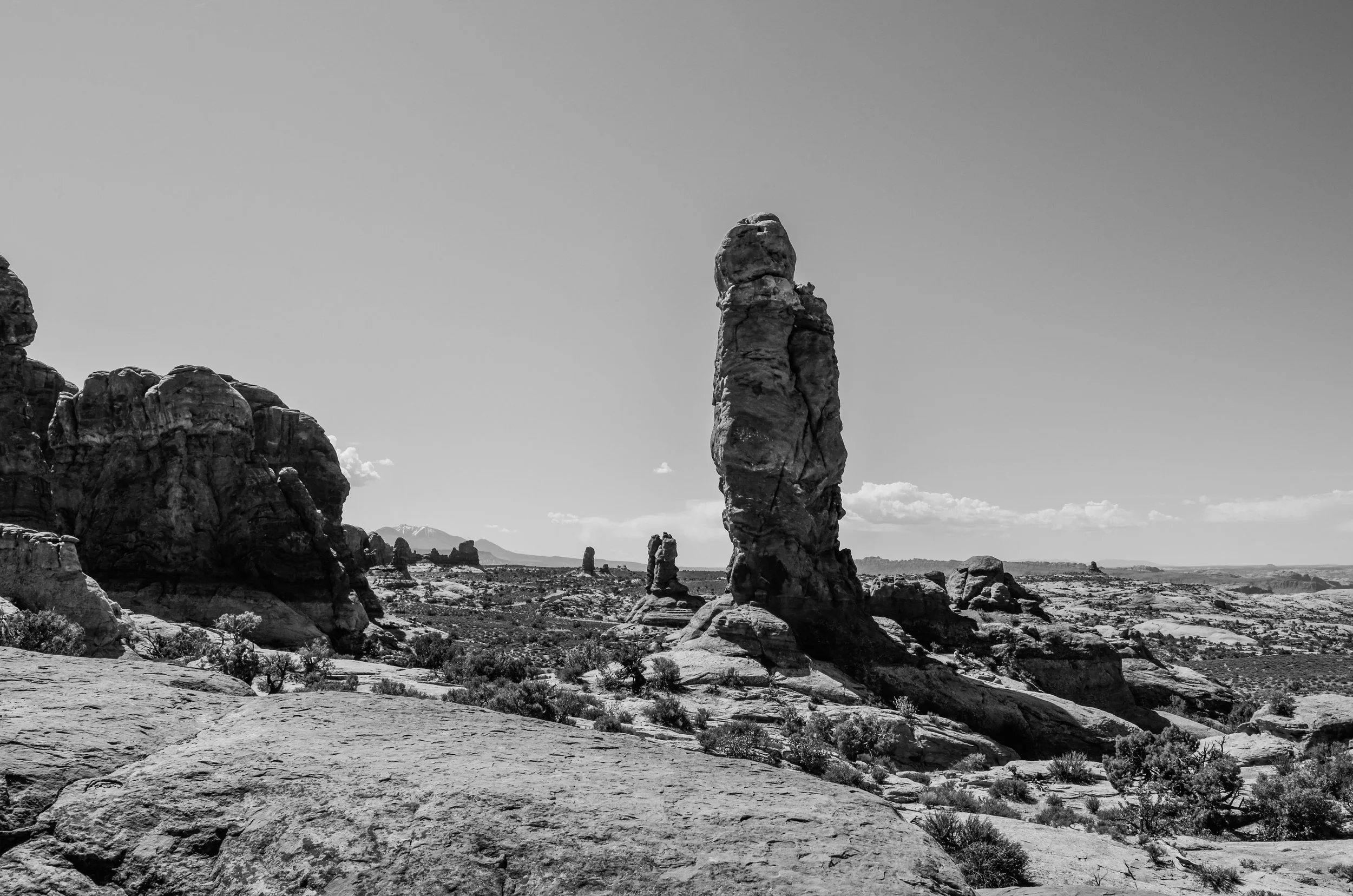 _DSC0584.jpg