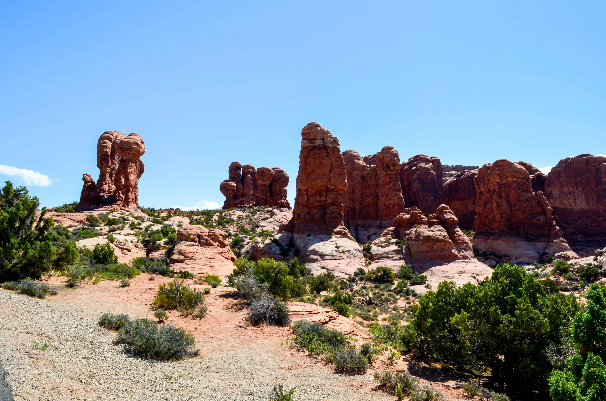 _DSC0580.jpg