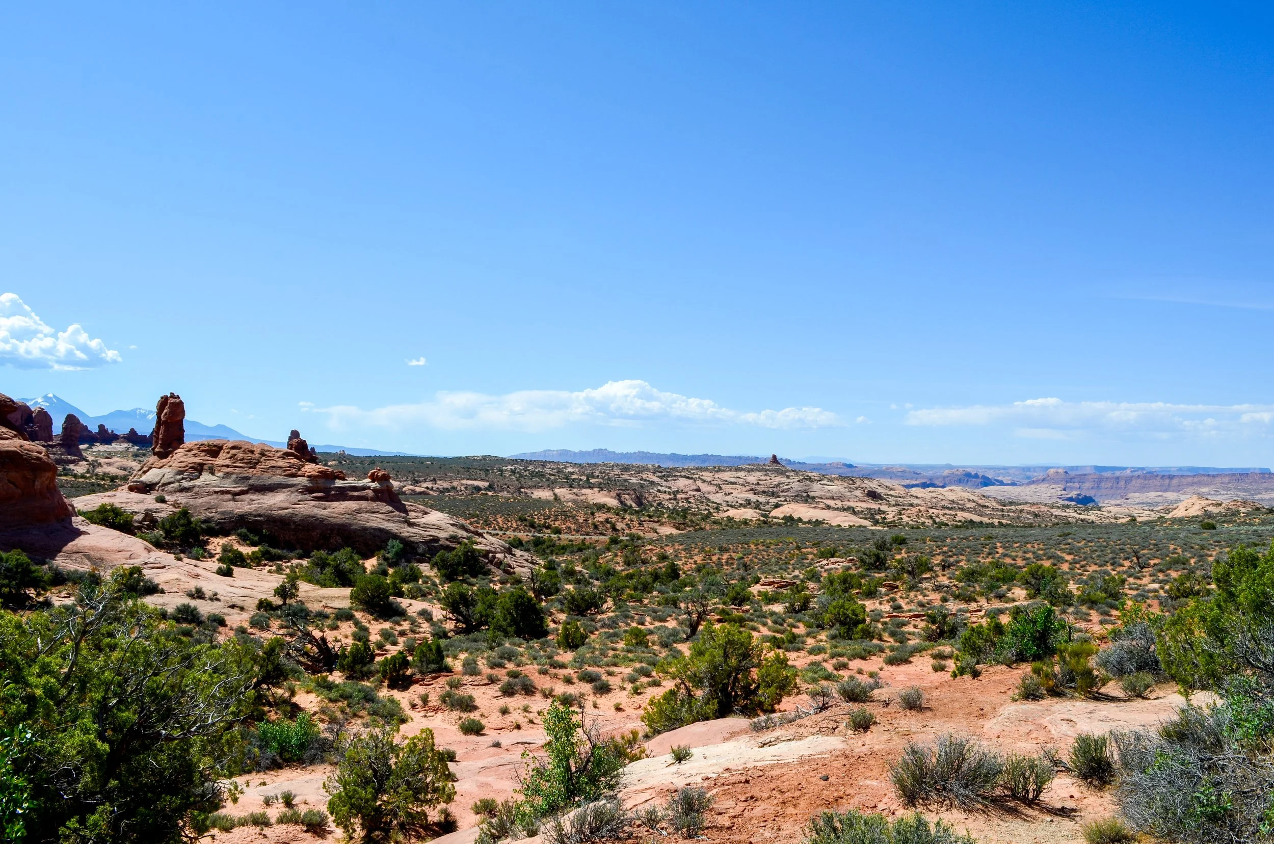 _DSC0583.jpg