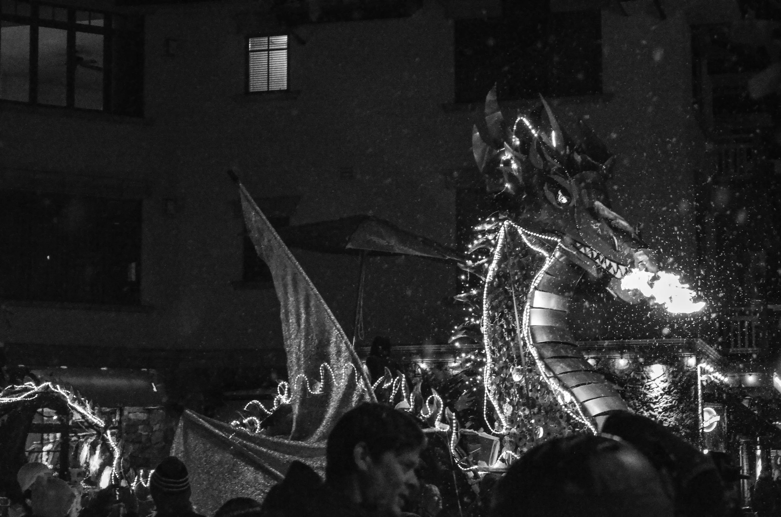 DSC_0014.jpg