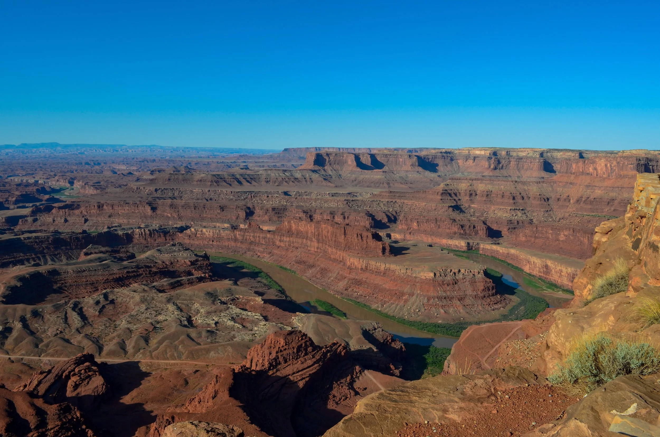 _DSC0541.jpg