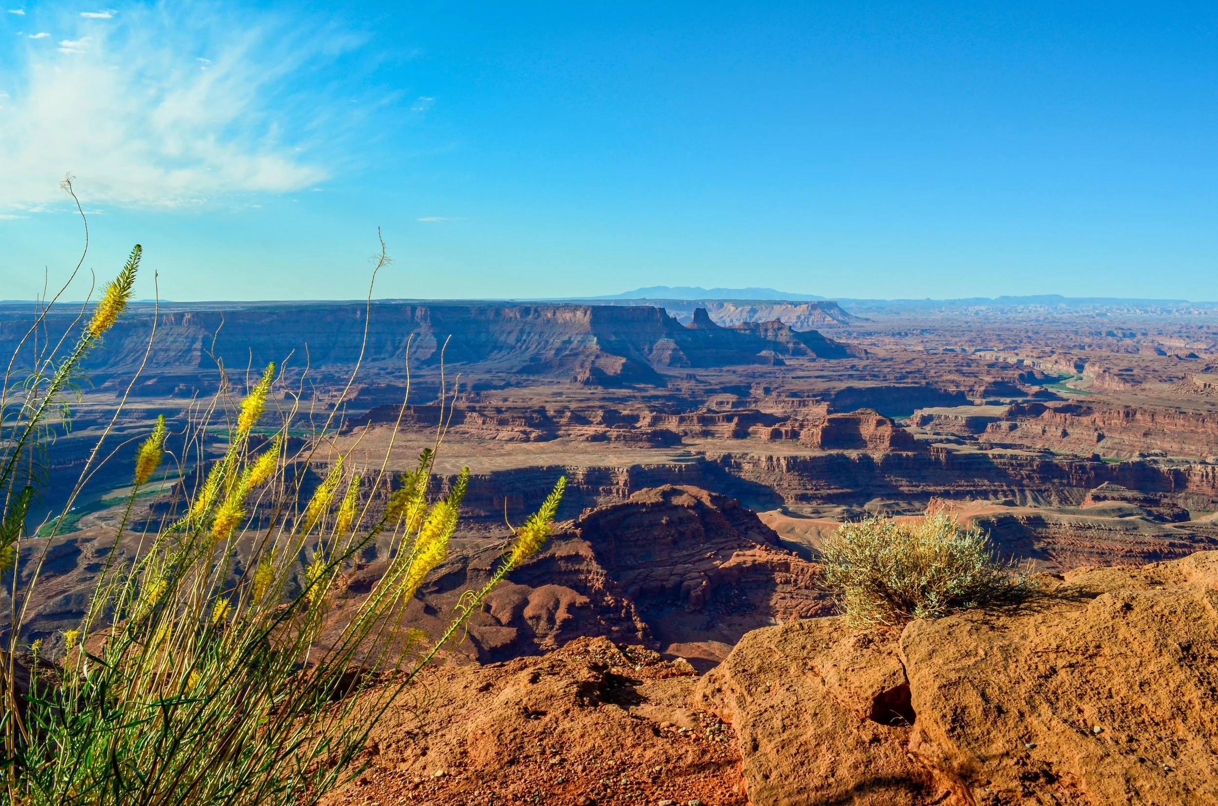 _DSC0536.jpg