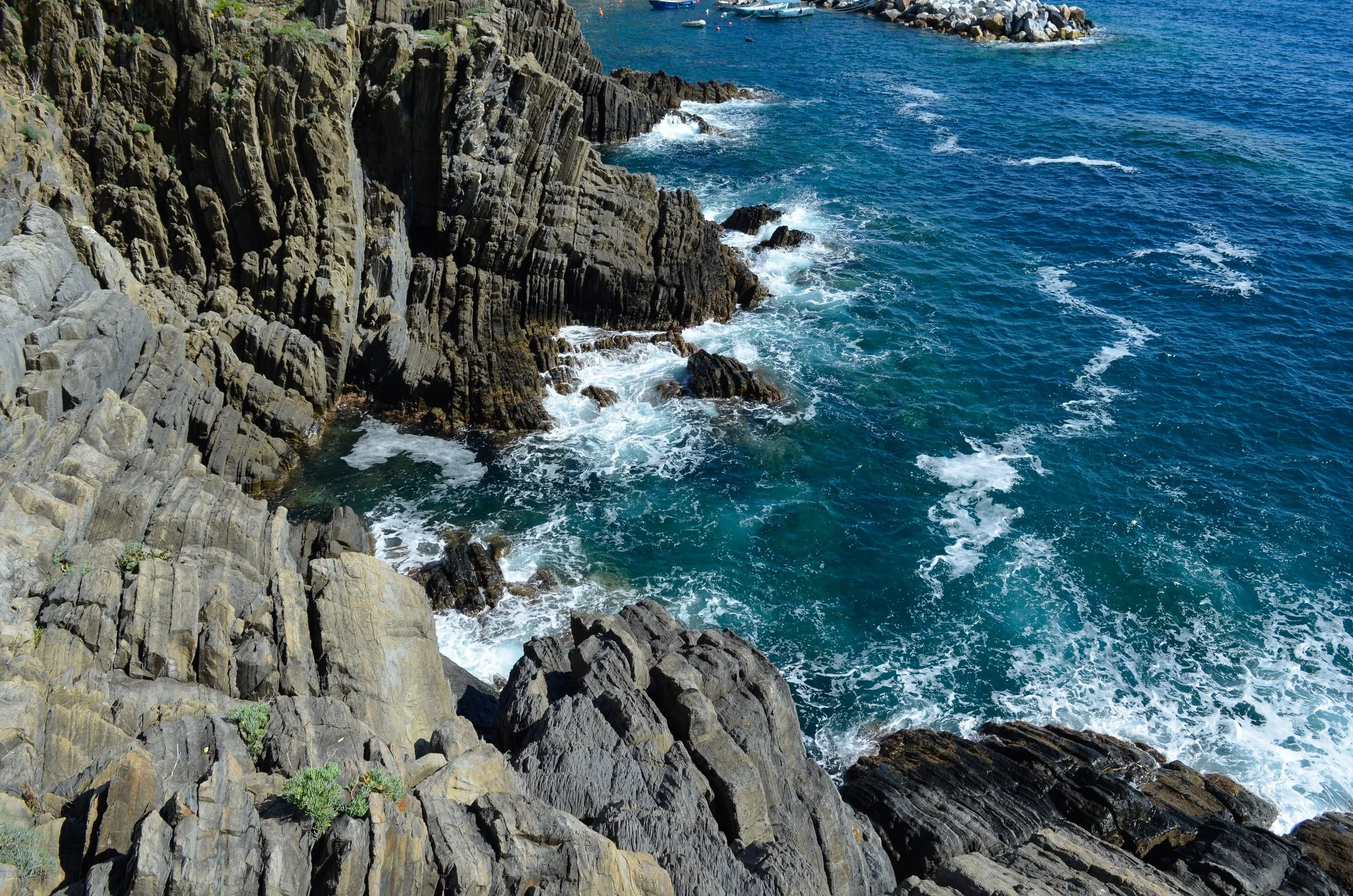 _DSC6267.jpg