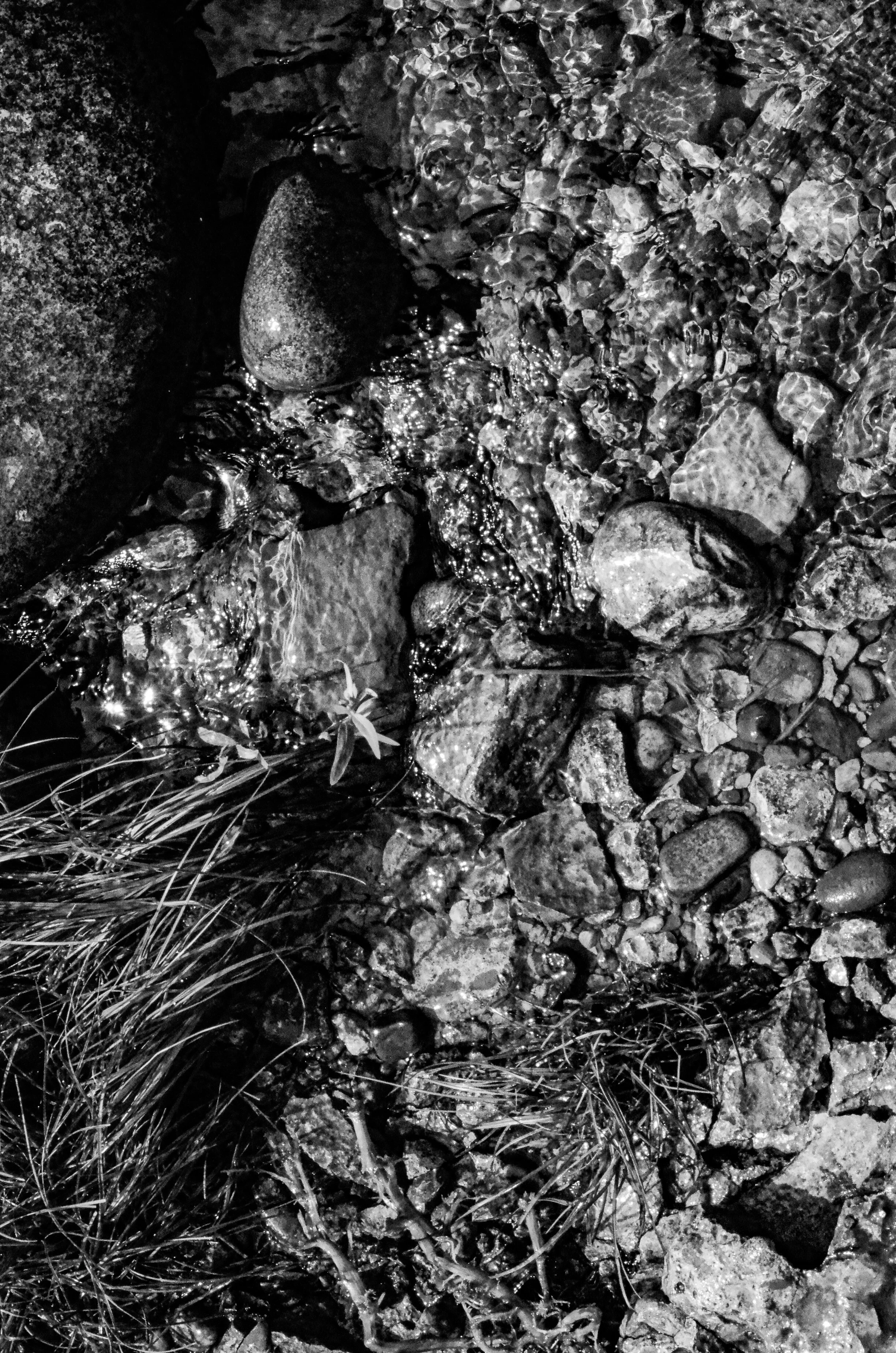 _DSC0869.jpg