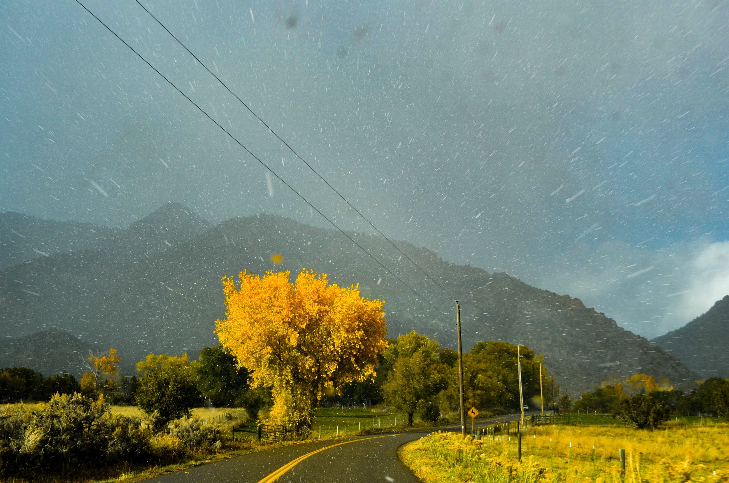 DSC_0970.jpg