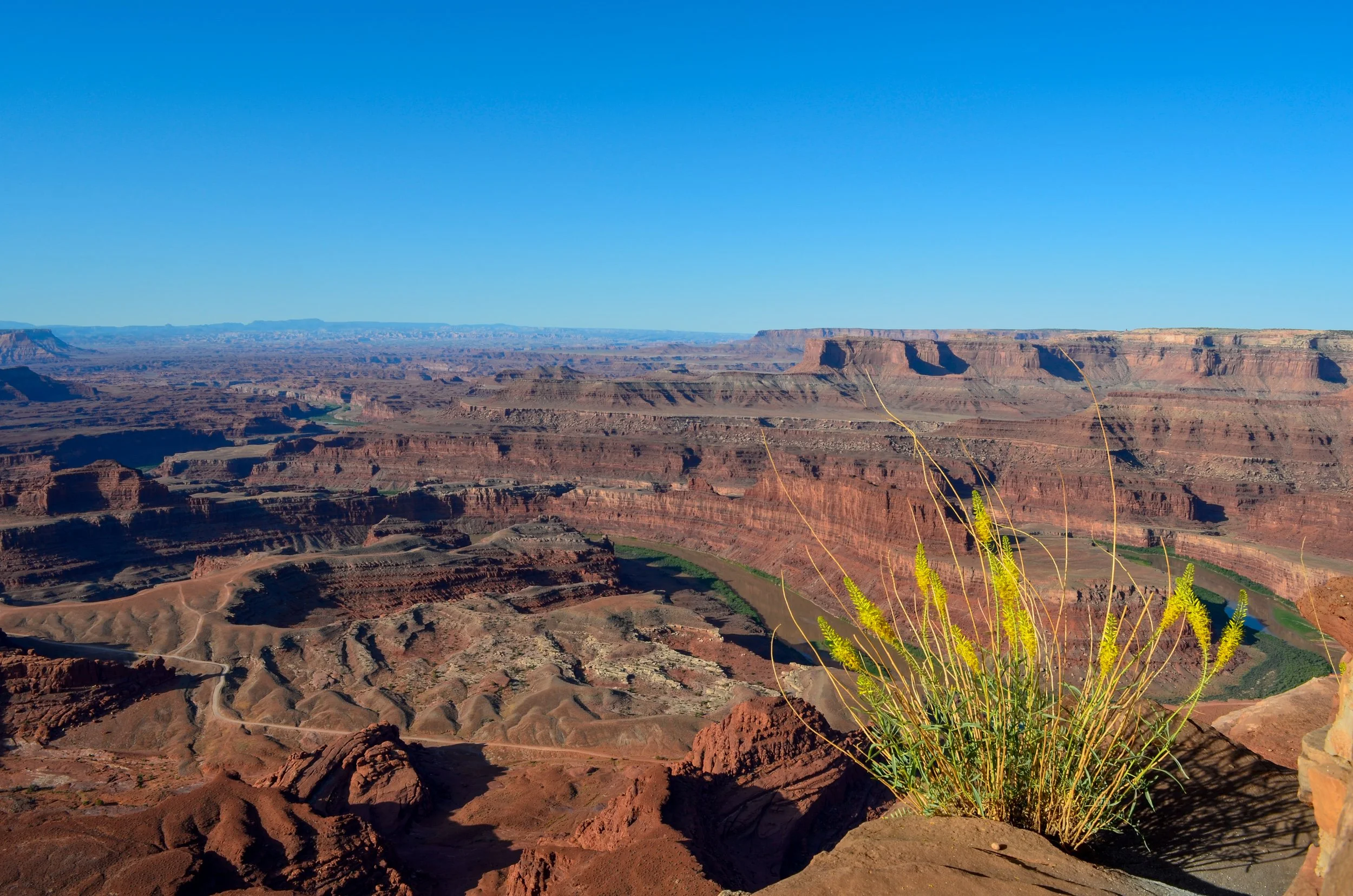 _DSC0538.jpg